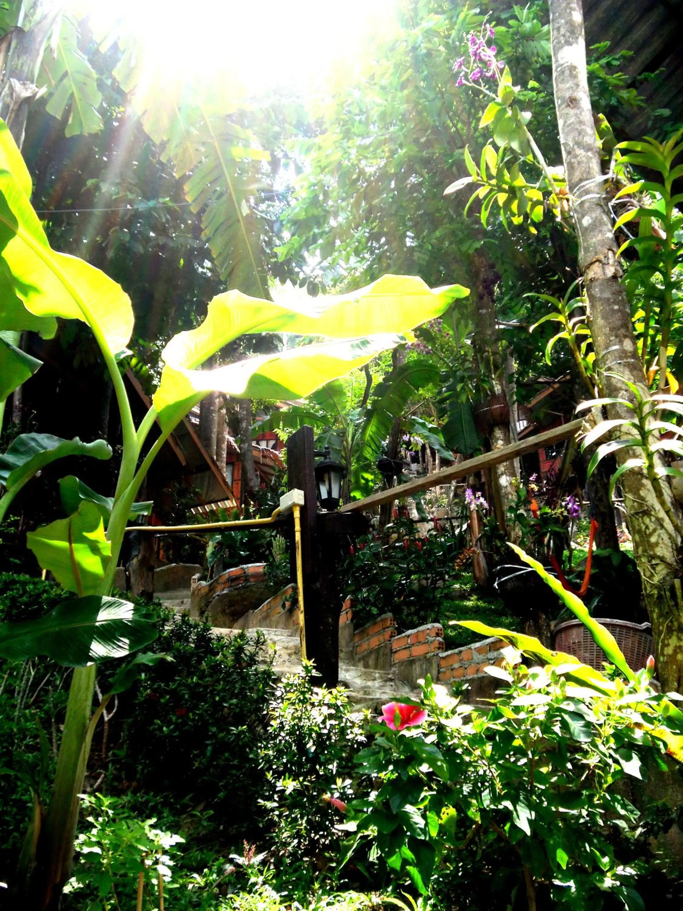 Garden in Phi Phi Green Hill Resort