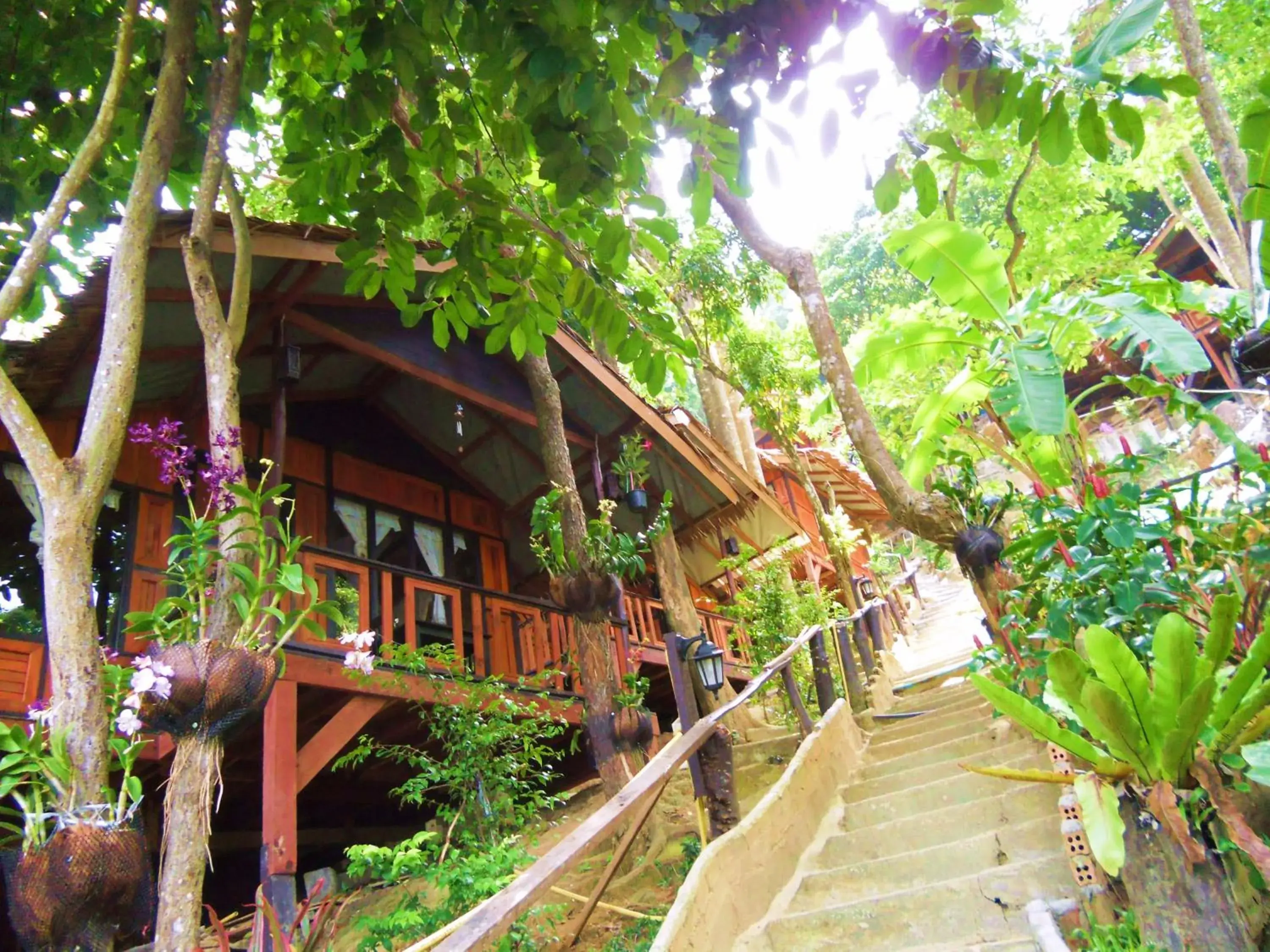 Facade/entrance in Phi Phi Green Hill Resort Facade/entrance in Phi Phi Green Hill Resort
