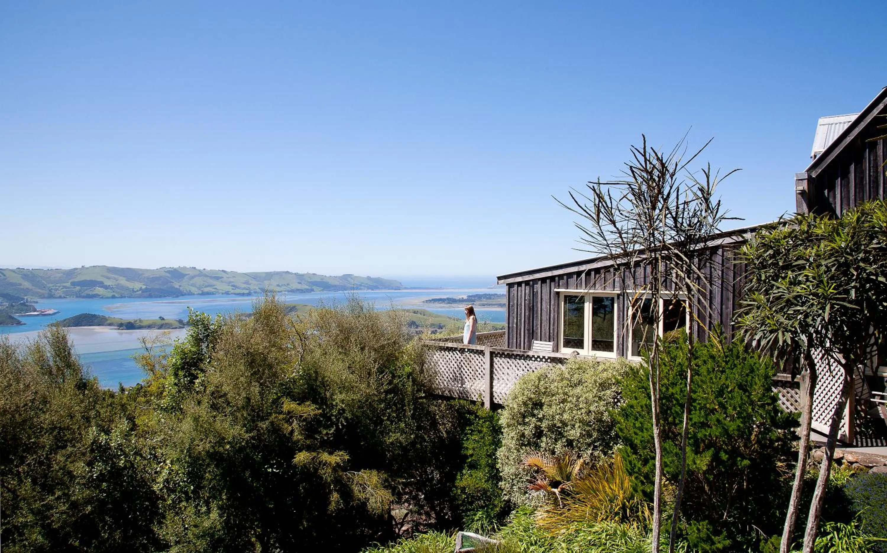 Property building in Larnach Lodge & Stable Stay
