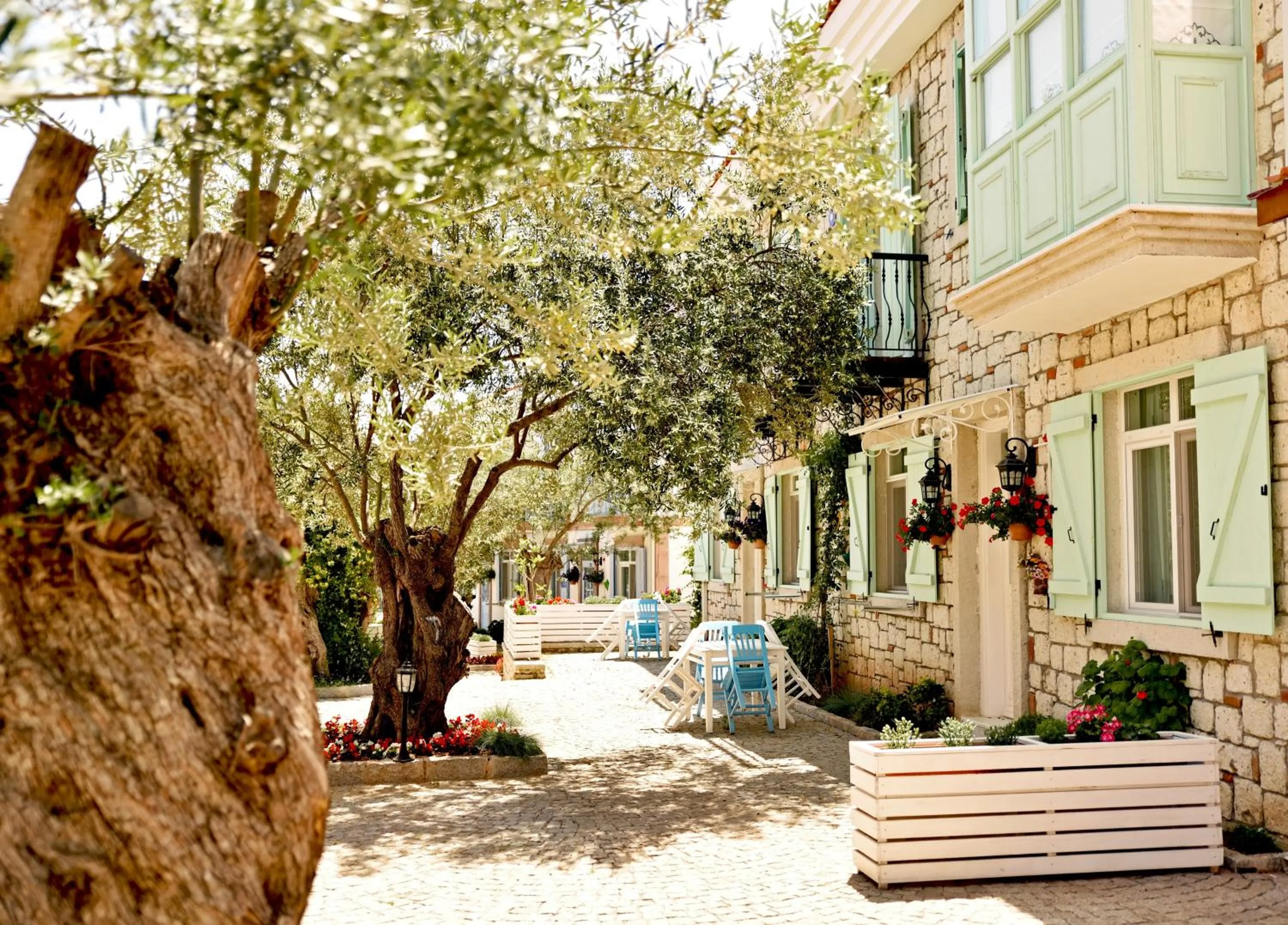 Patio in Zeytin Arası Apart Otel
