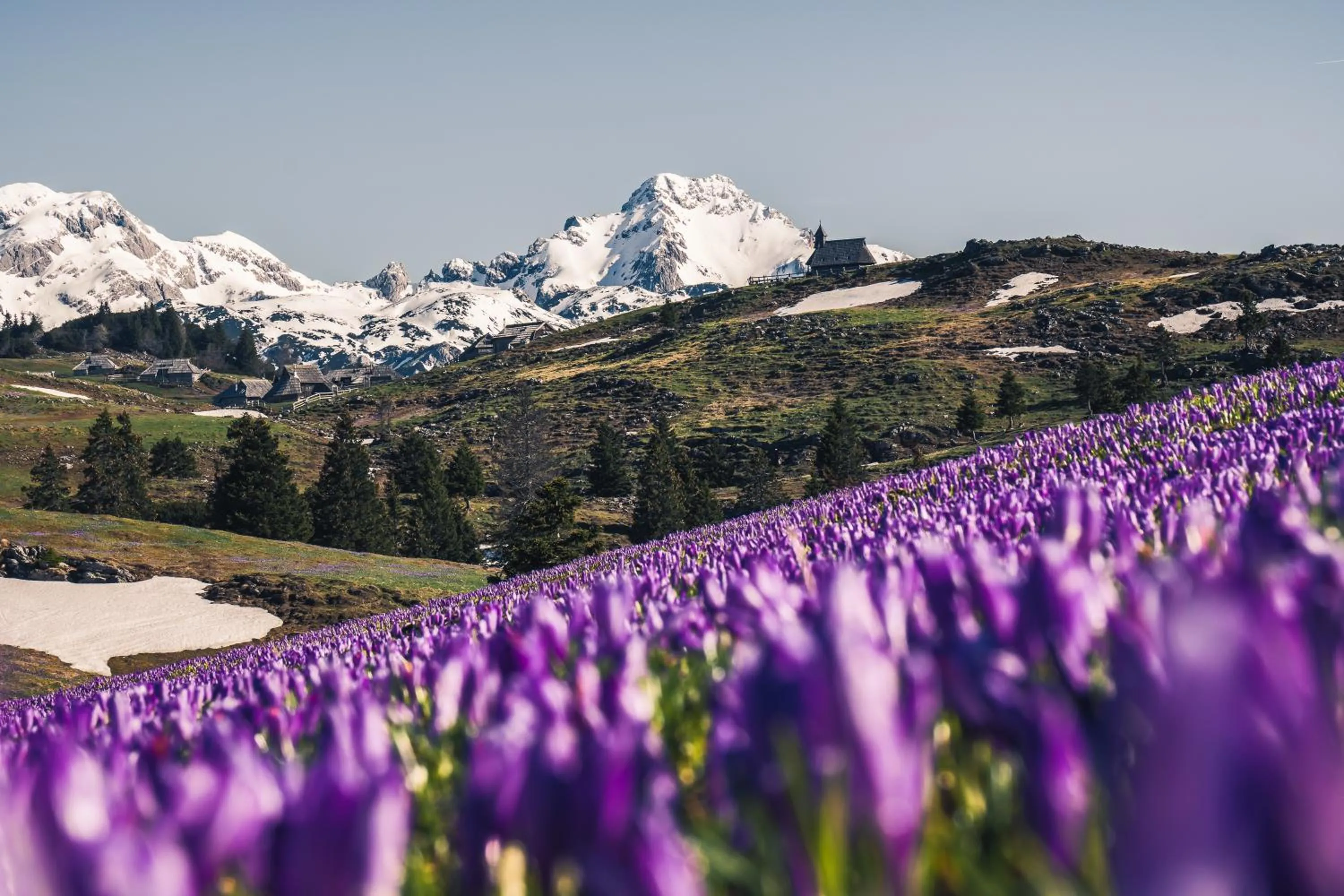 Koča Bistra - Velika planina