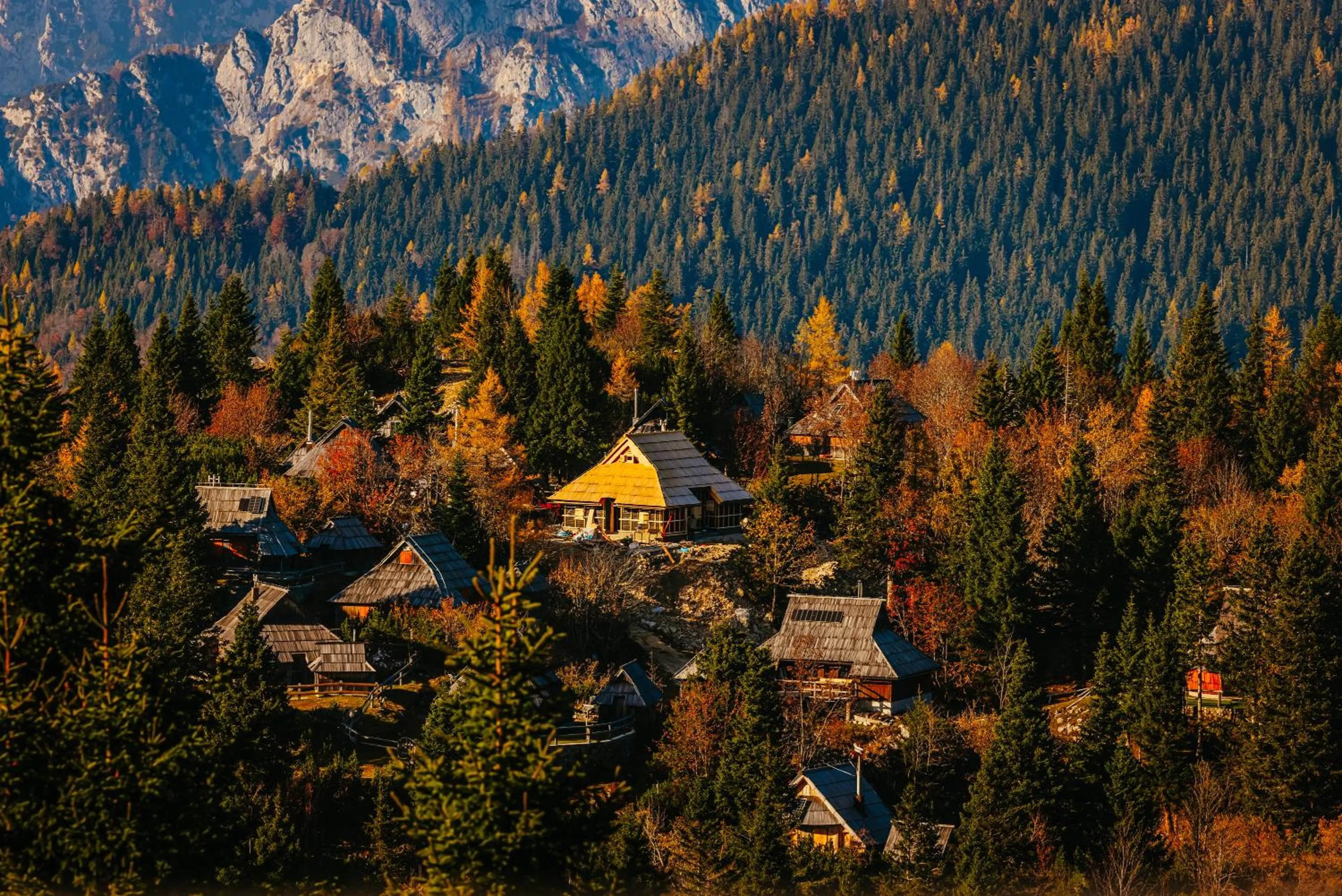 Koča Bistra - Velika planina