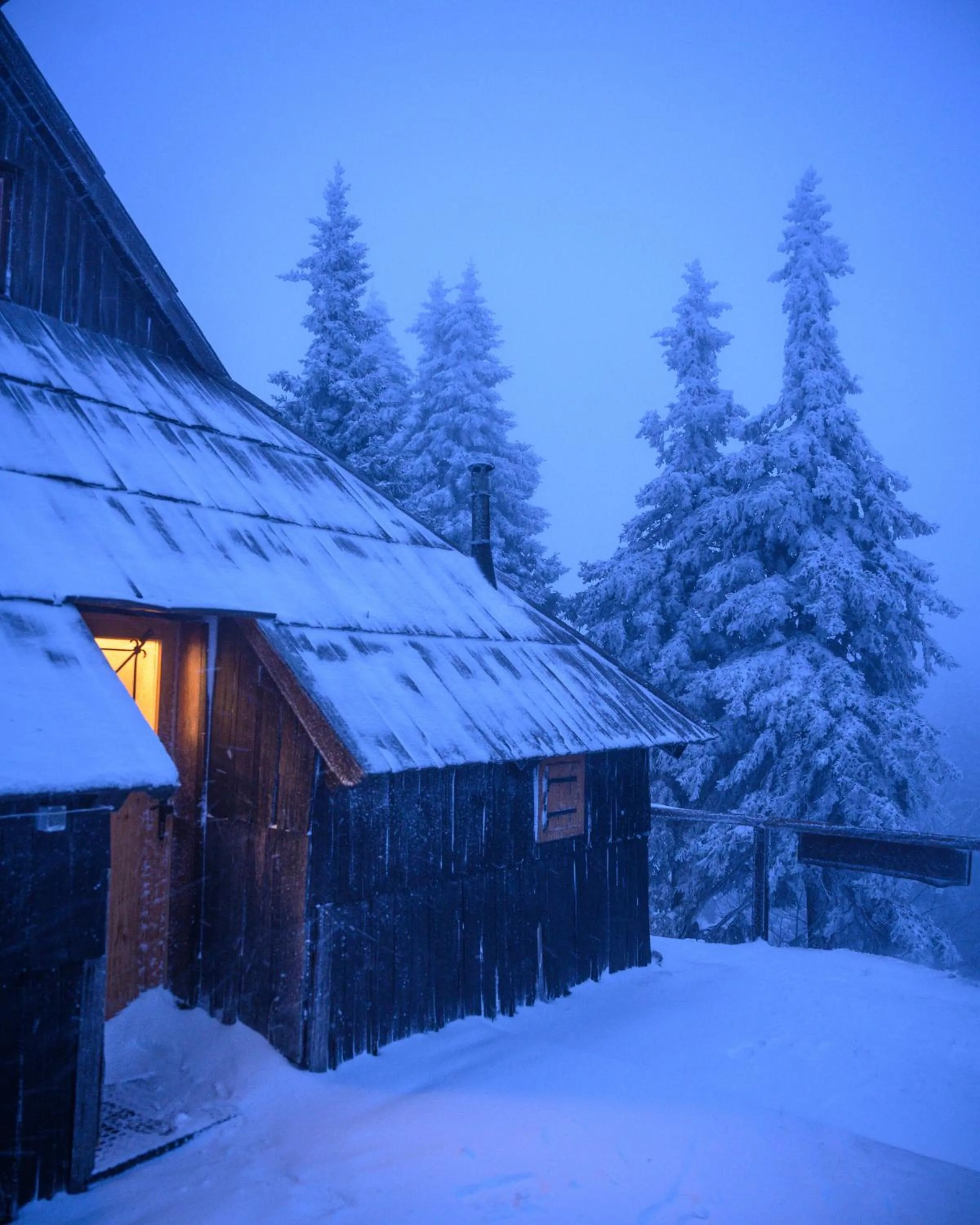 Koča Bistra - Velika planina