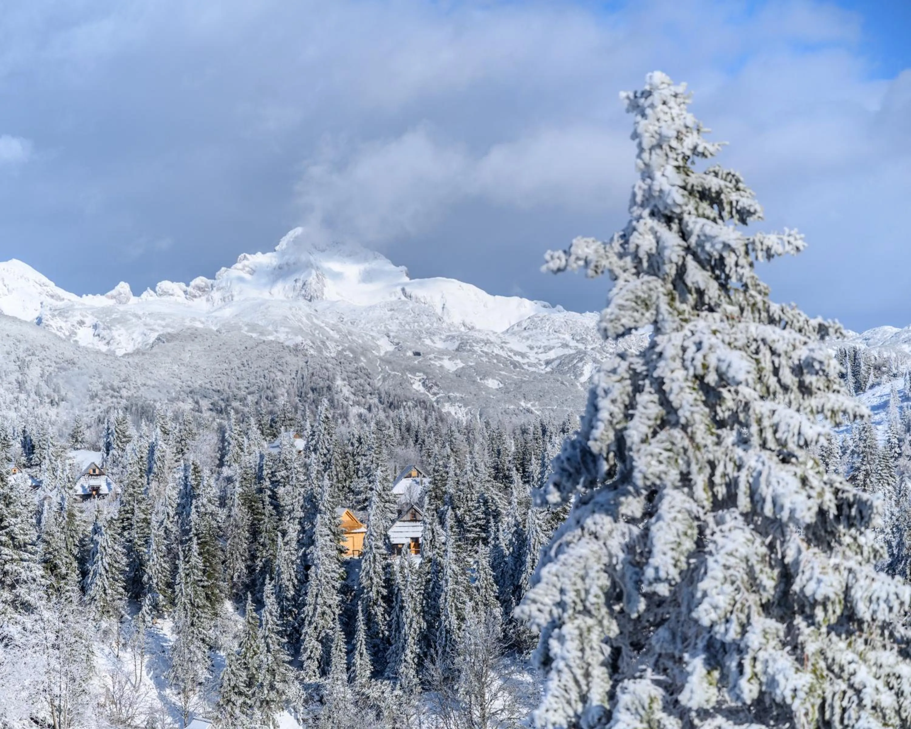 Koča Bistra - Velika planina