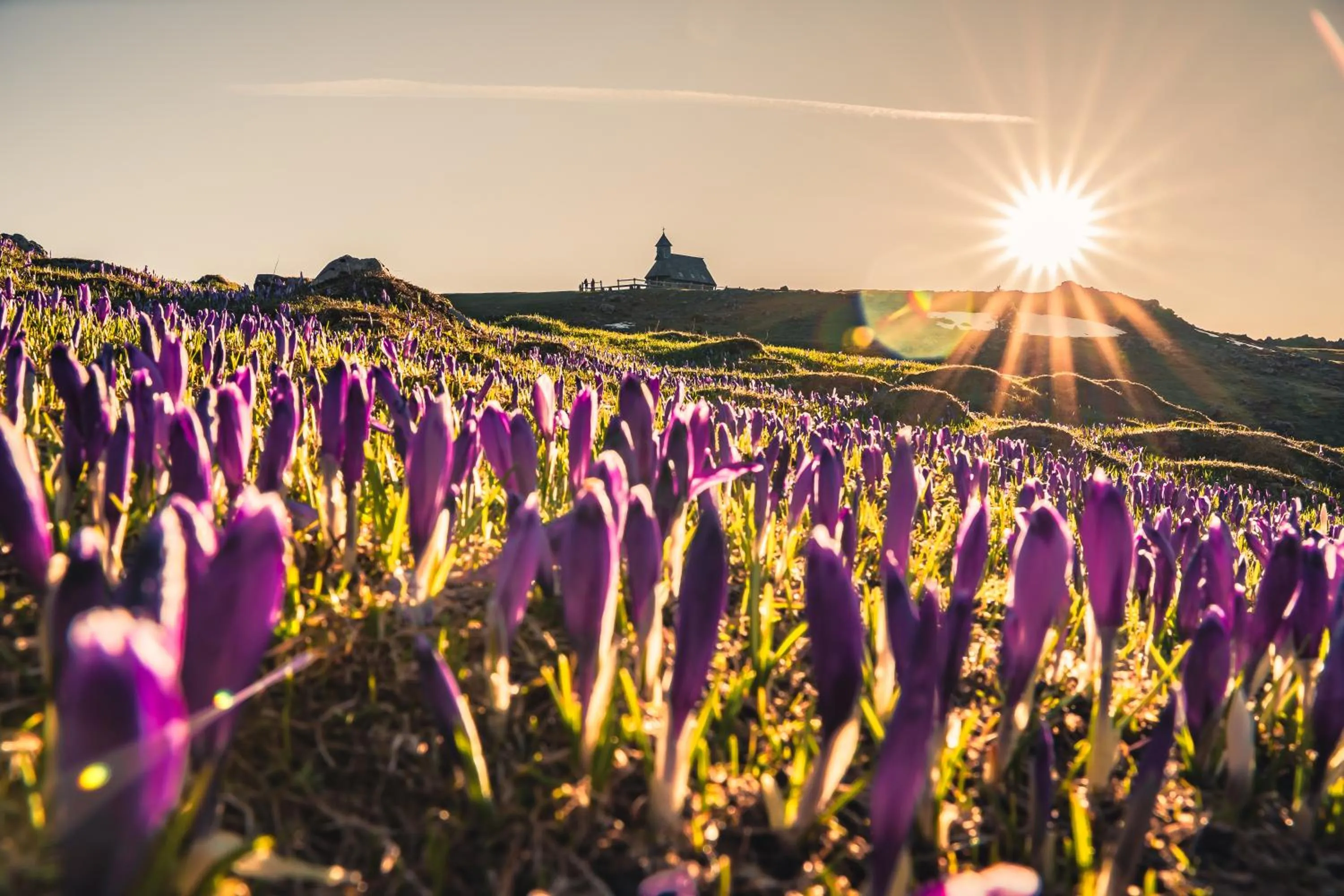Koča Bistra - Velika planina