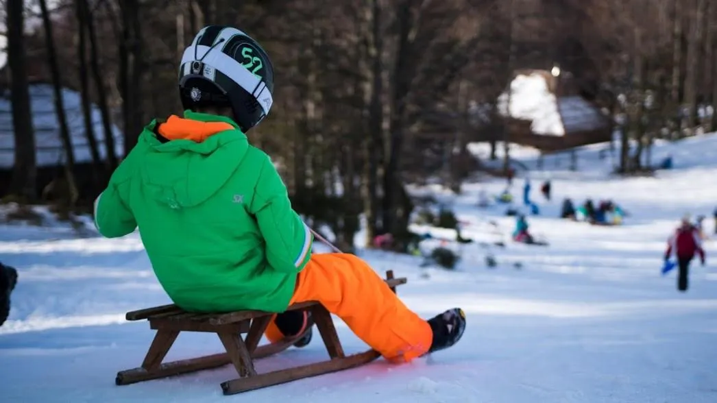 Koča Bistra - Velika planina