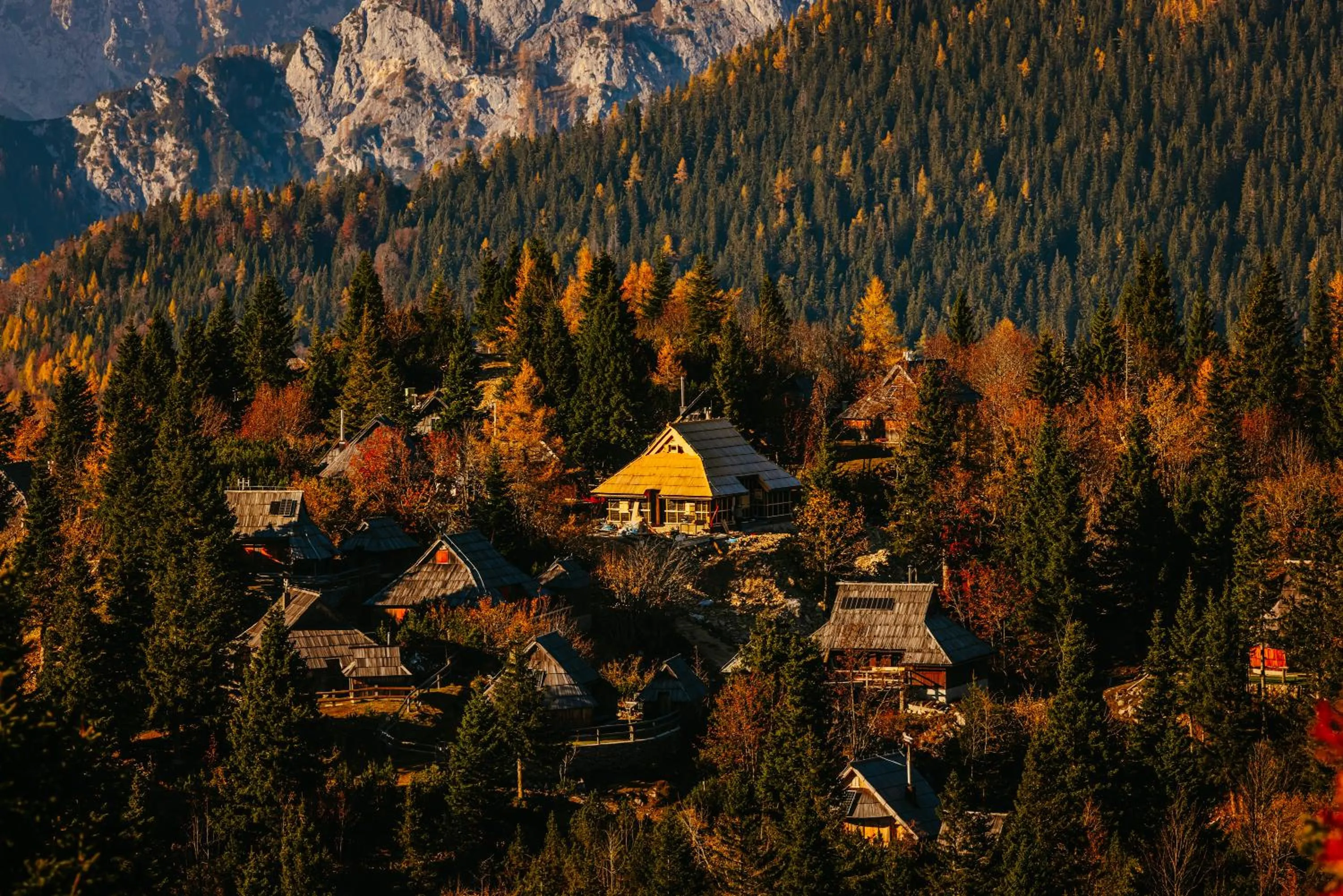 Koča Bistra - Velika planina
