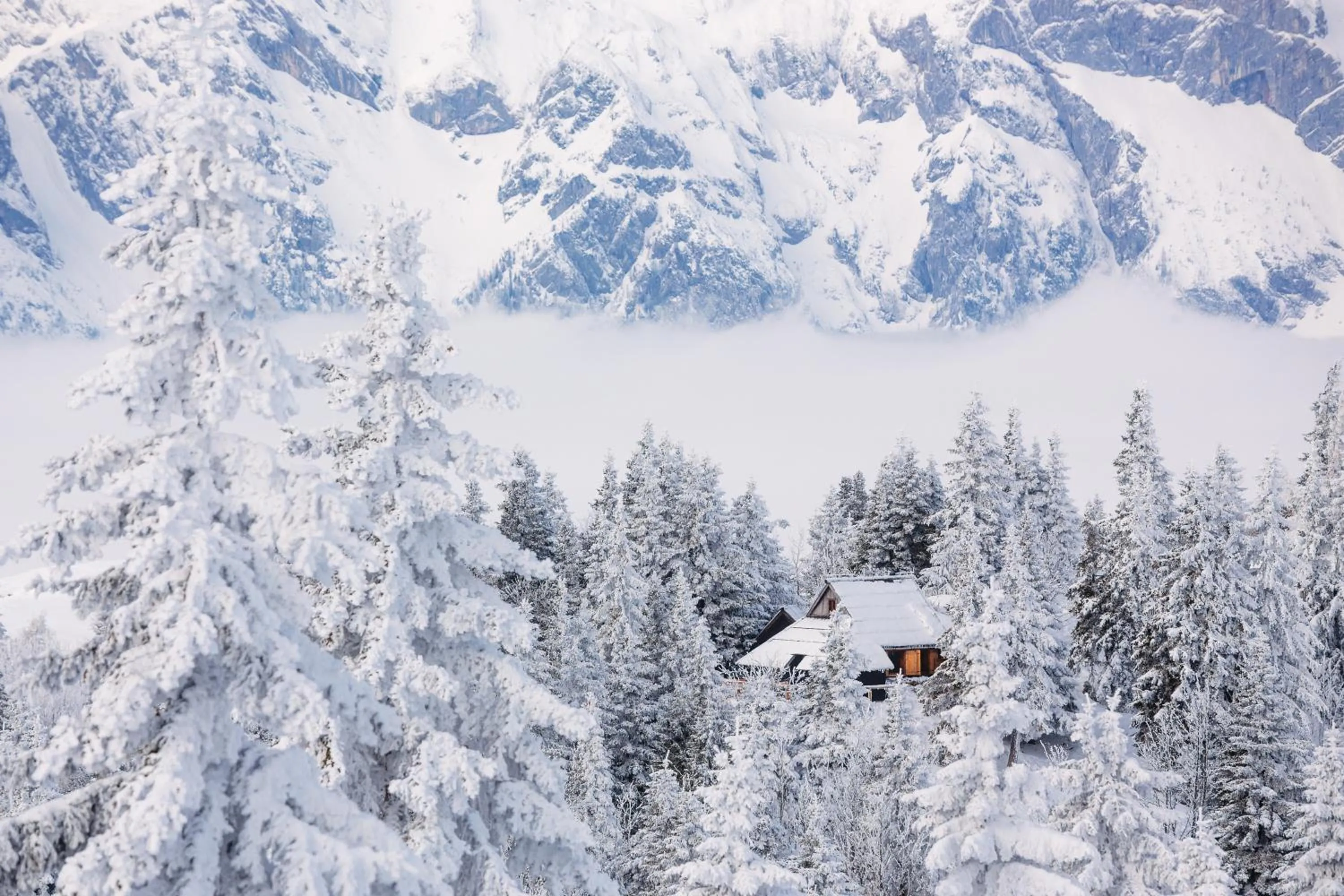 Koča Bistra - Velika planina