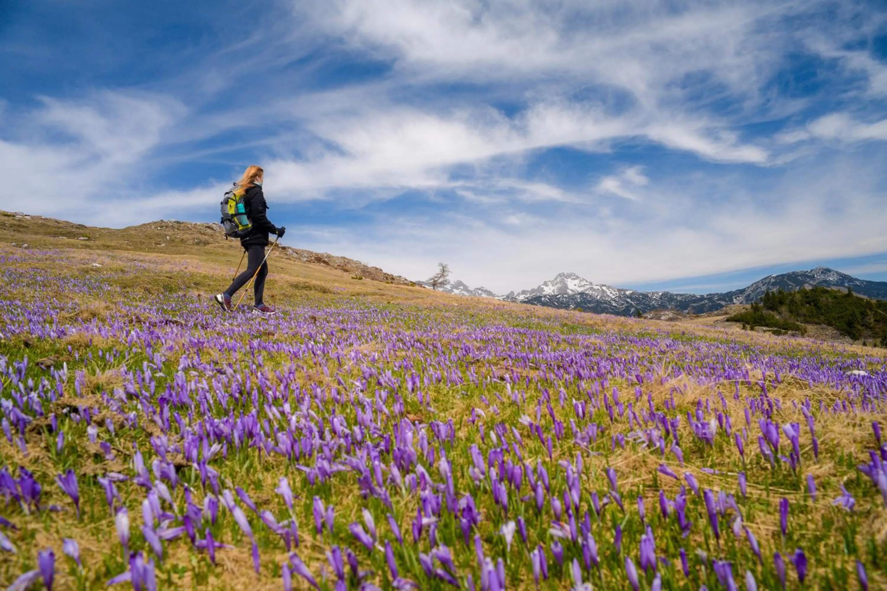 Koča Bistra - Velika planina