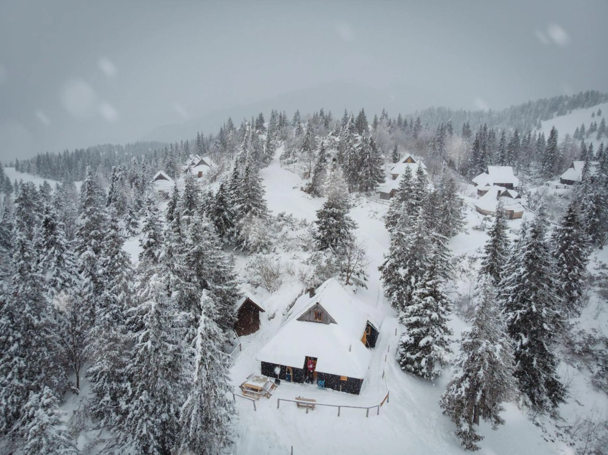 Koča Bistra - Velika planina