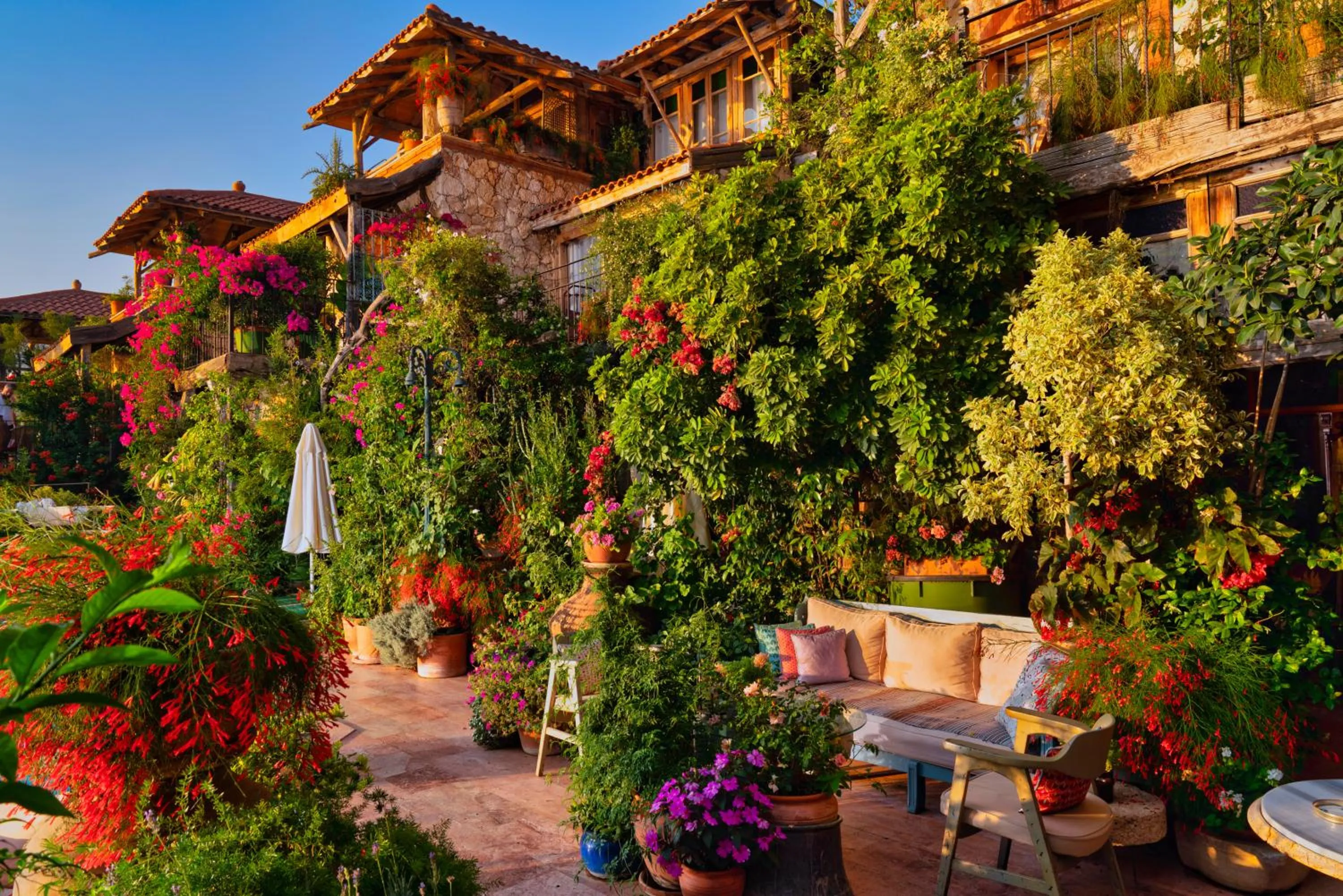 Garden in Fidanka Hotel