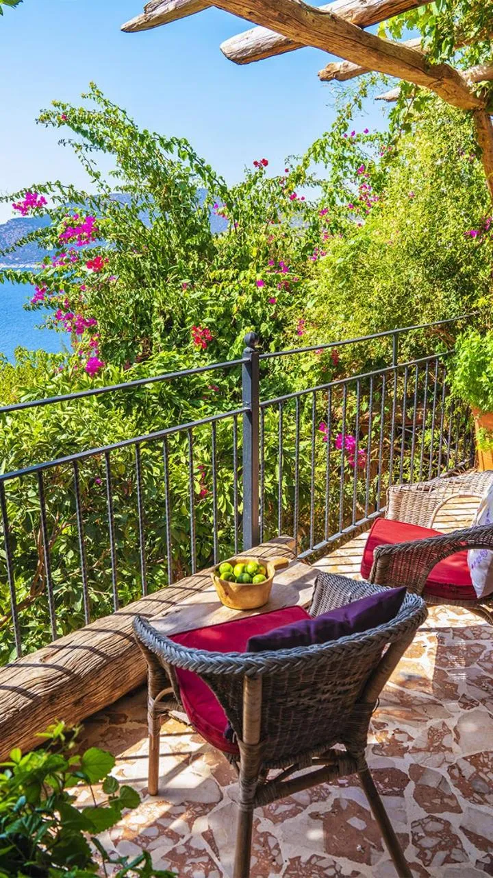 View (from property/room) in Fidanka Hotel