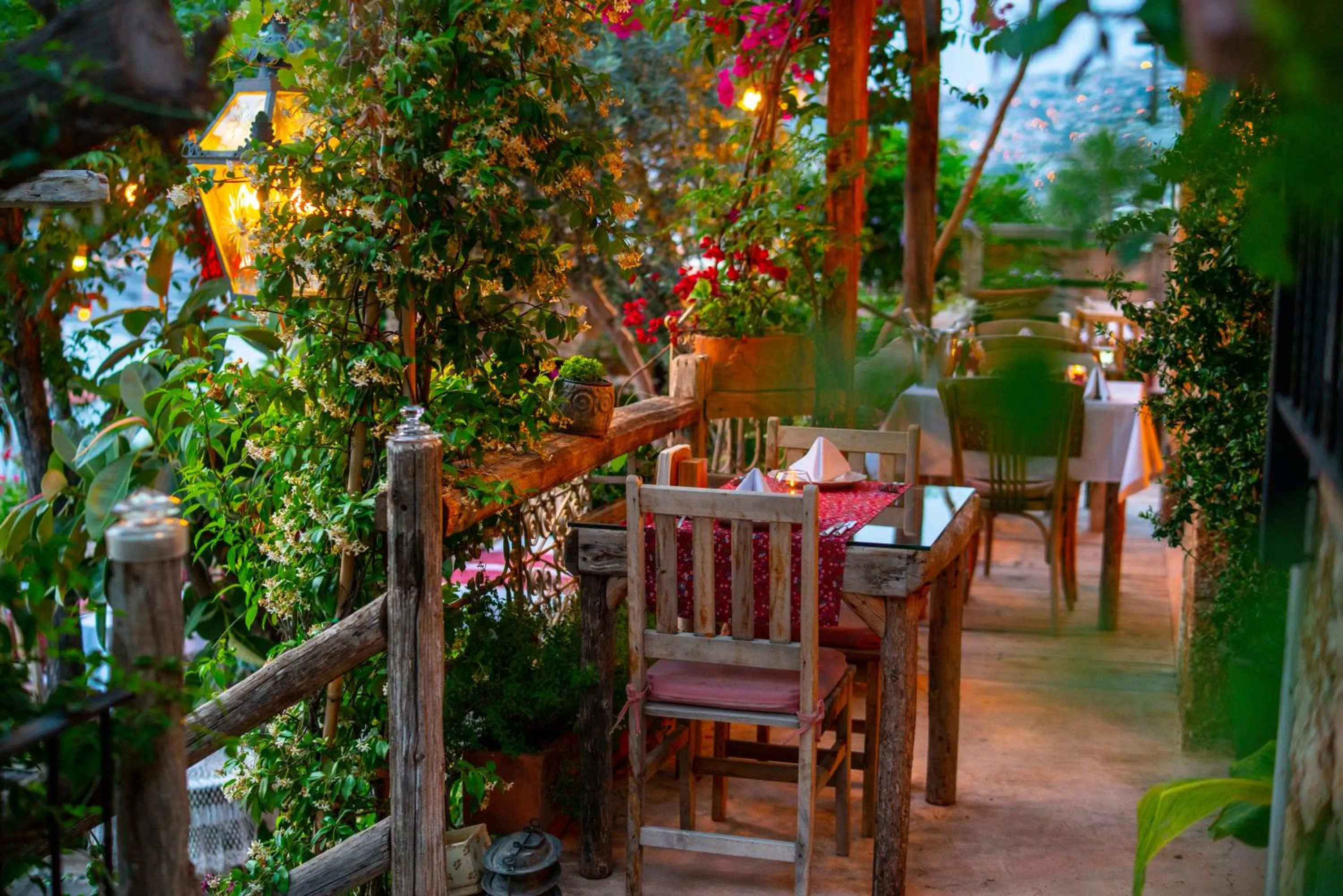 Restaurant/places to eat in Fidanka Hotel