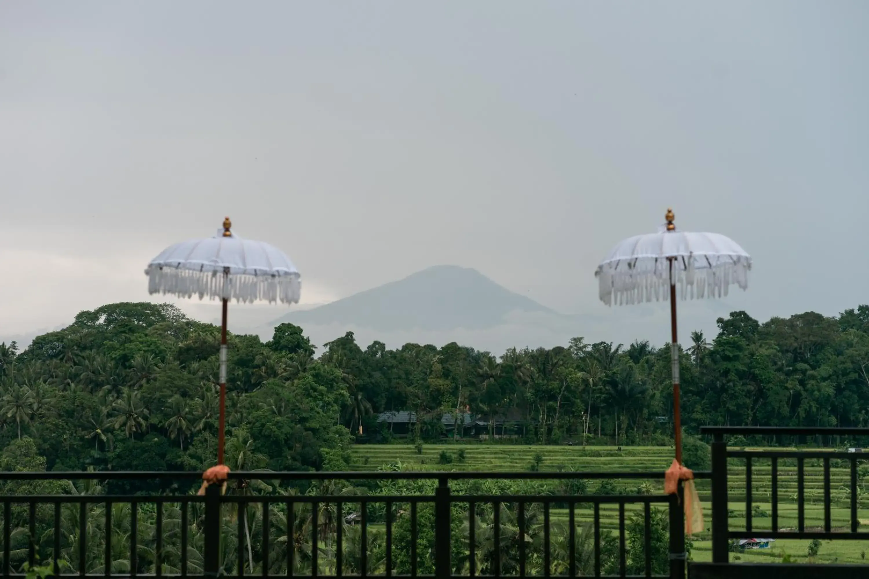 View (from property/room) in The Samaya Ubud View (from property/room) in The Samaya Ubud