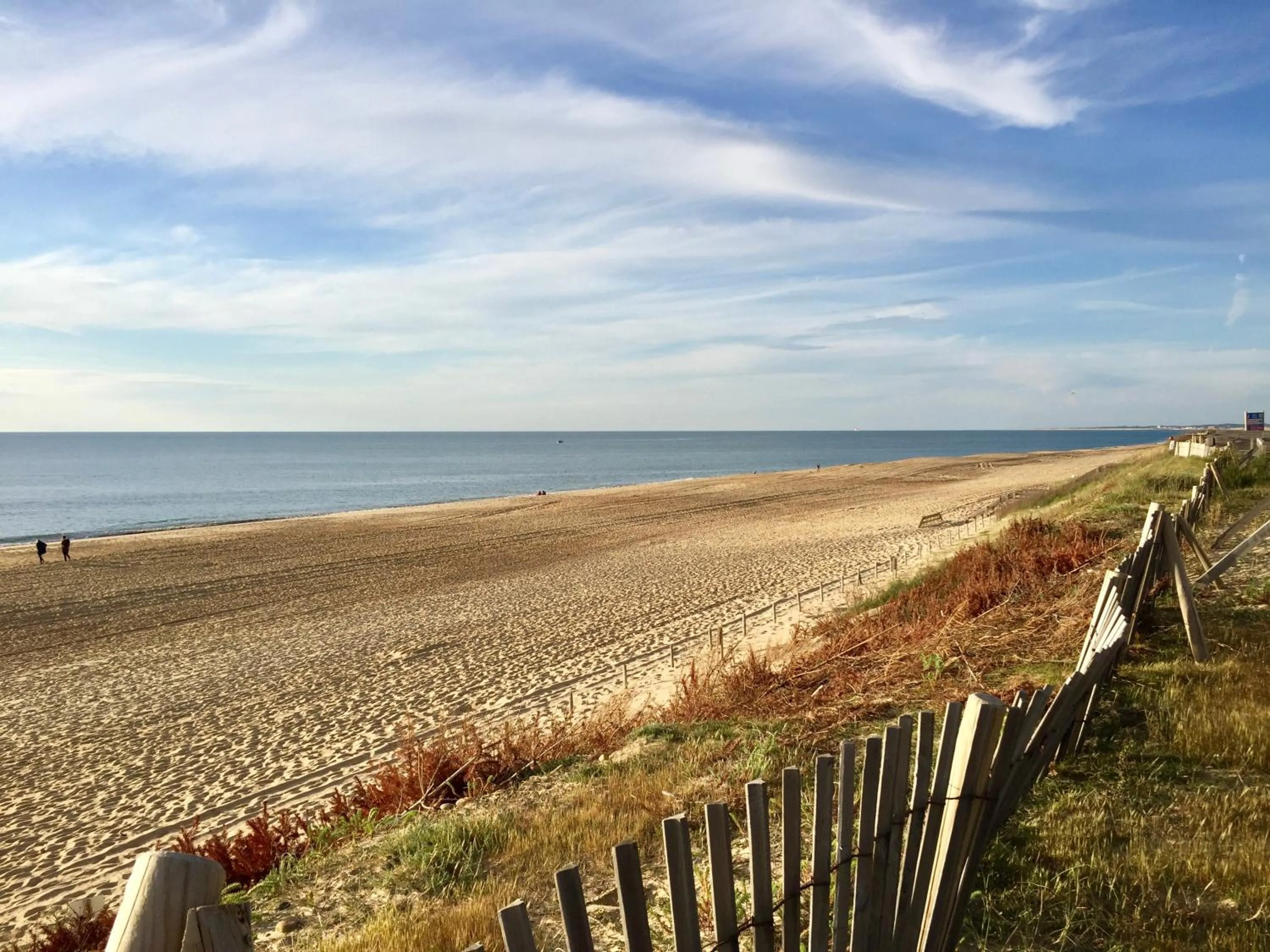 Natural landscape in Green Resort