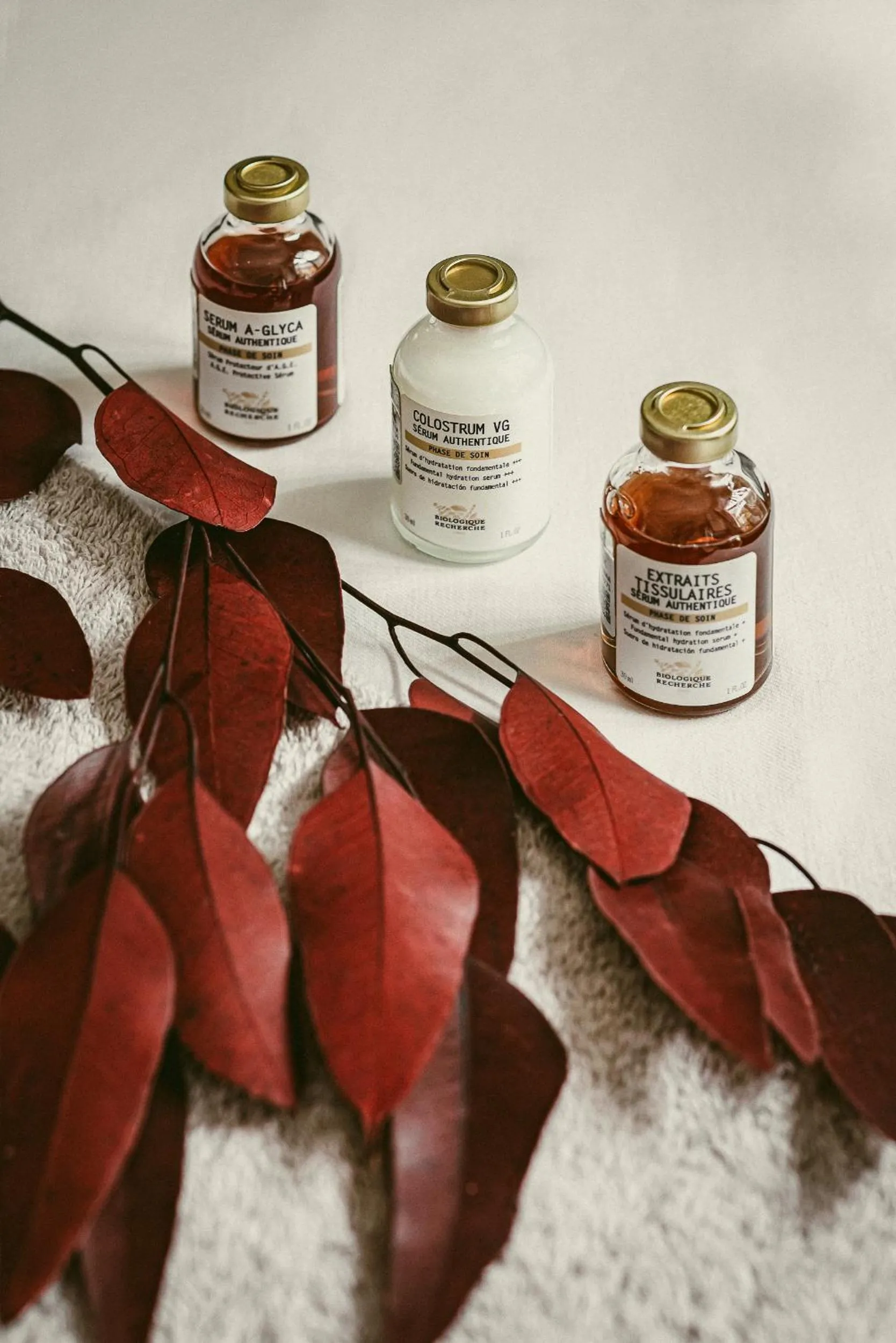 Spa and wellness centre/facilities in Experimental Chalet