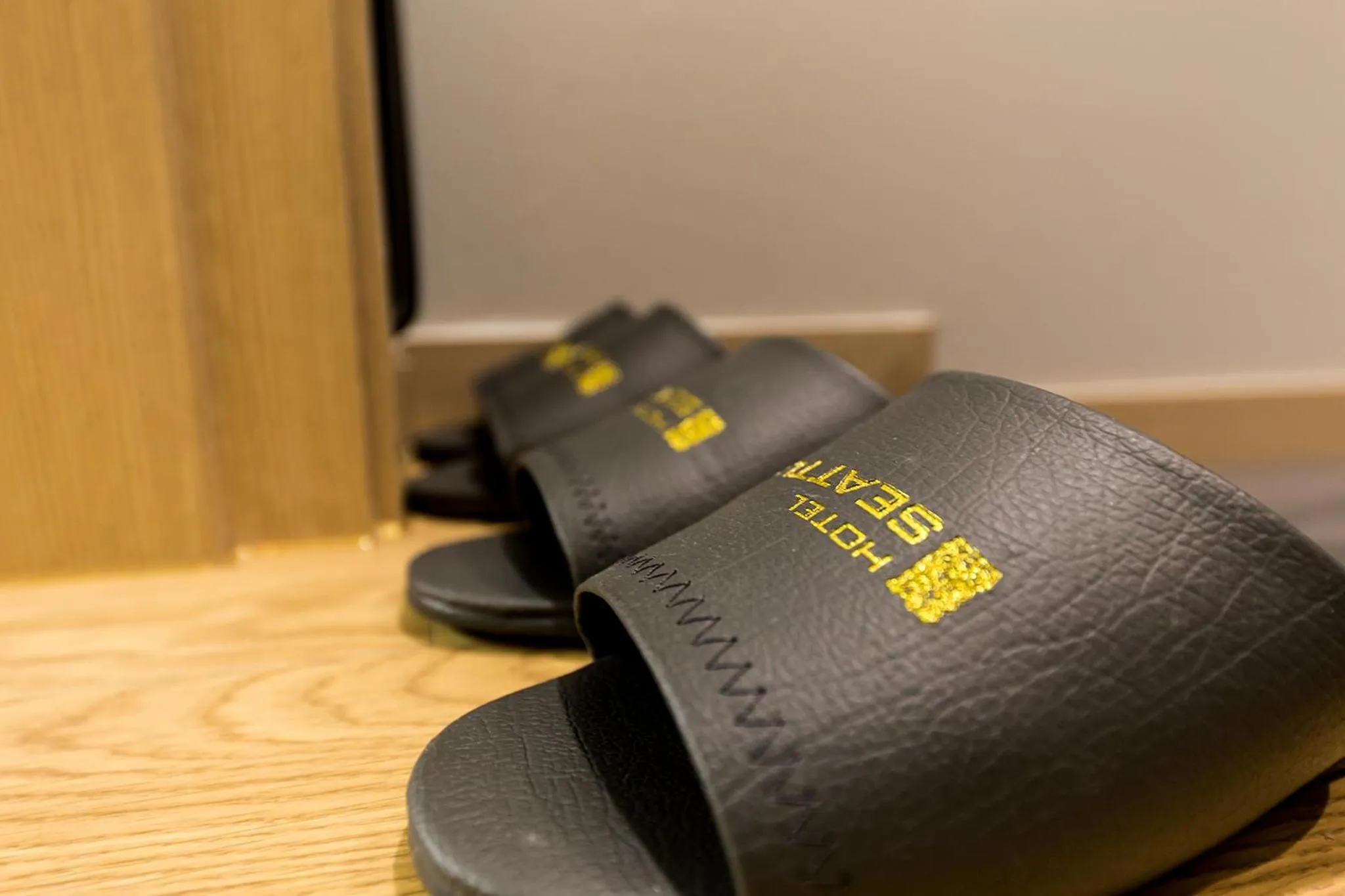 Area and facilities in Incheon Airport Hotel Seattle