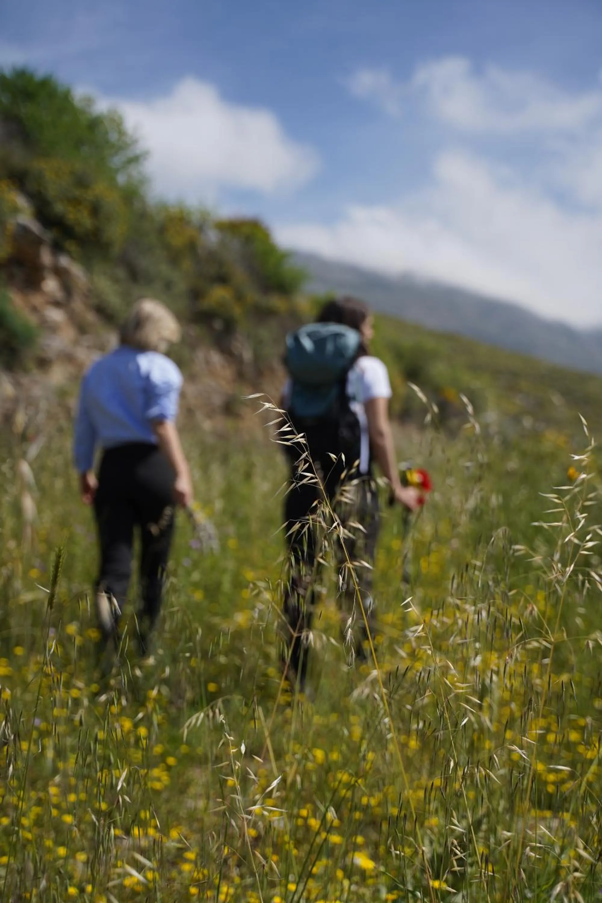 Natural landscape in Stella in the Village Suites