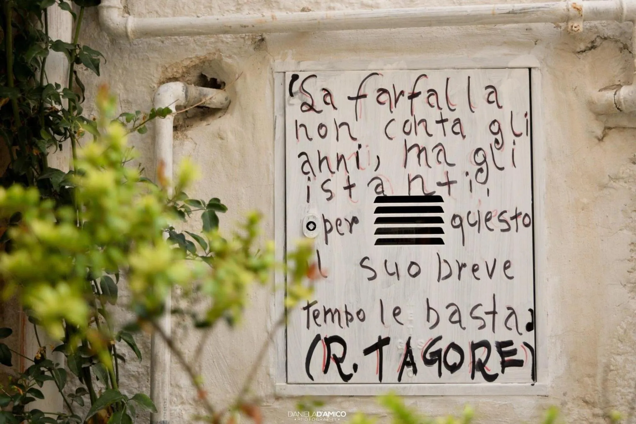 Area and facilities in Malù Bed&Breakfast