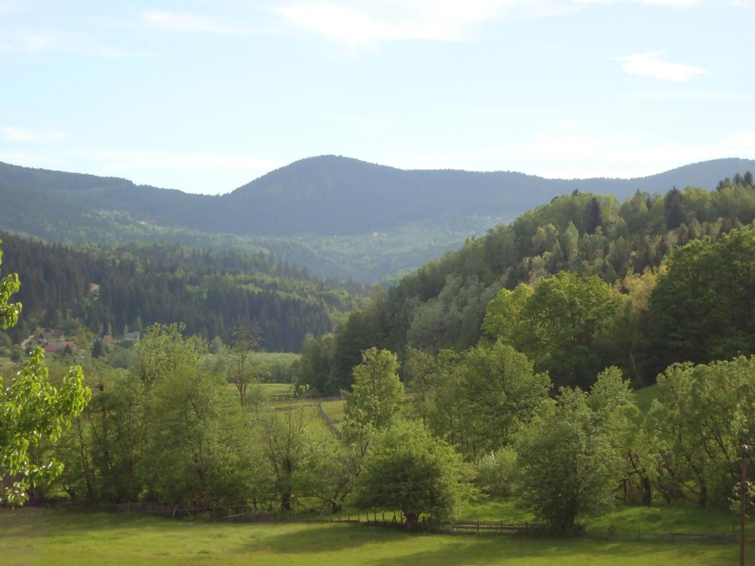 View (from property/room) in Hotel Damis