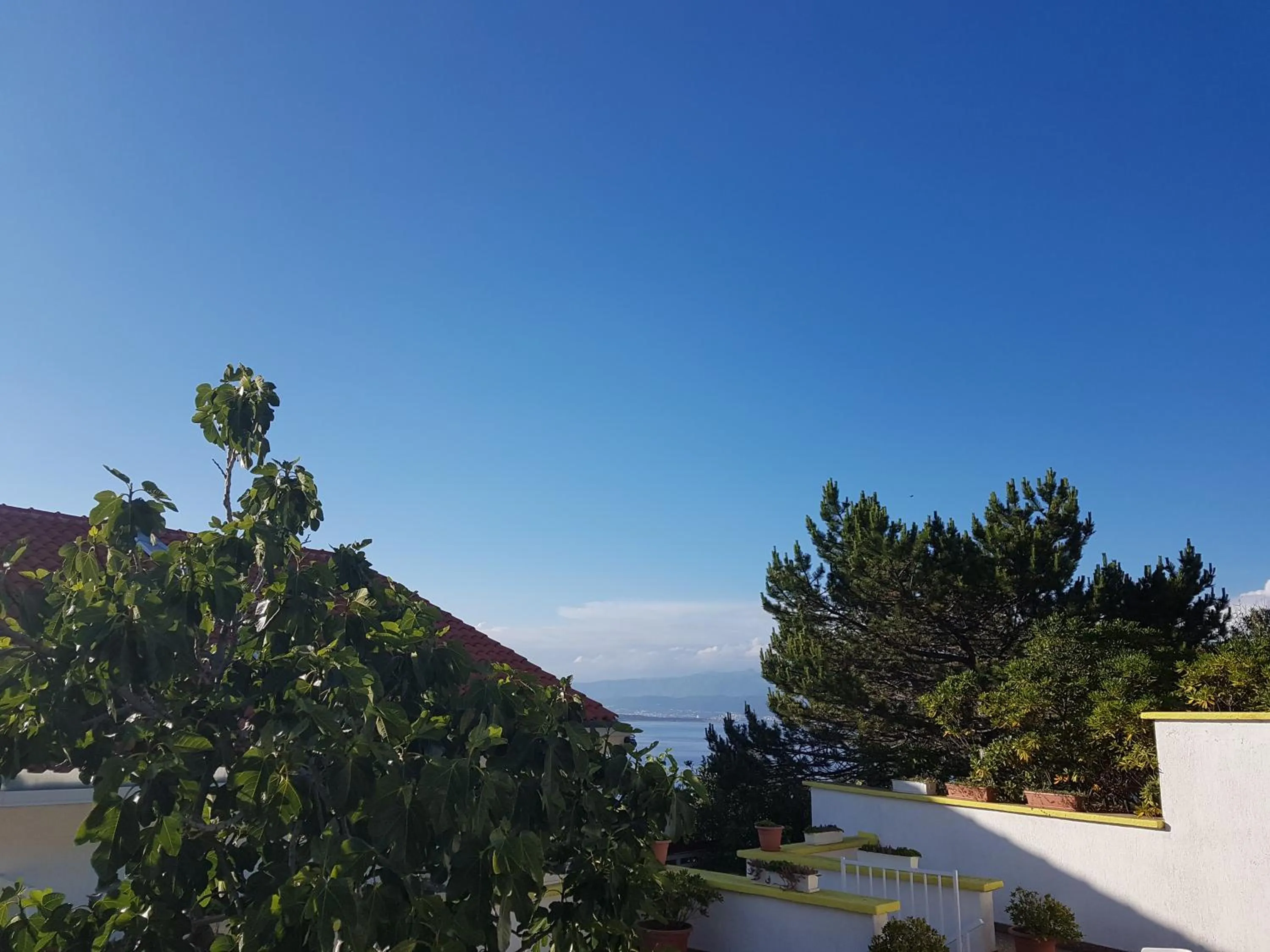 Patio in Hotel Argentum