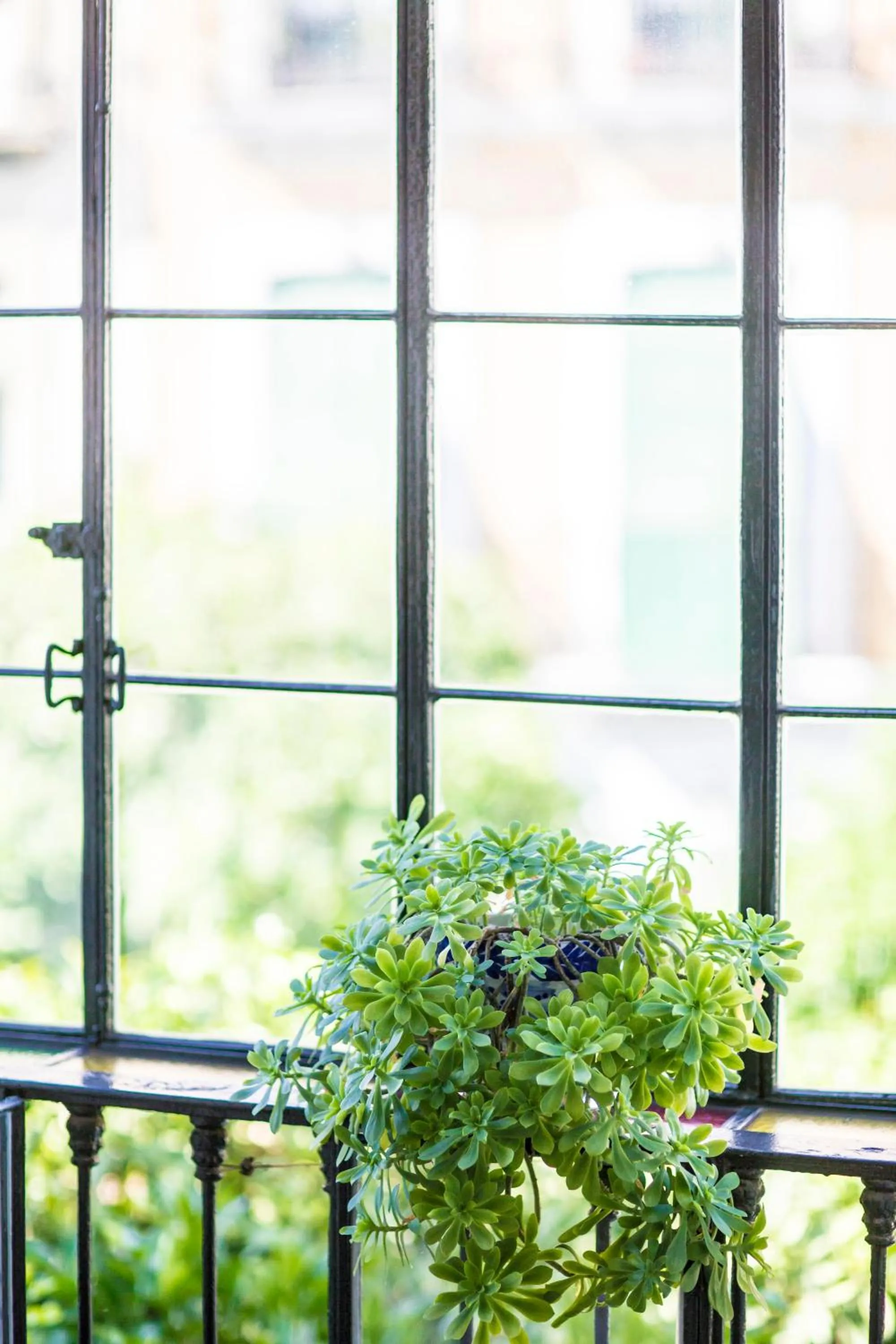 Spring in Pensión Dulces Sueños