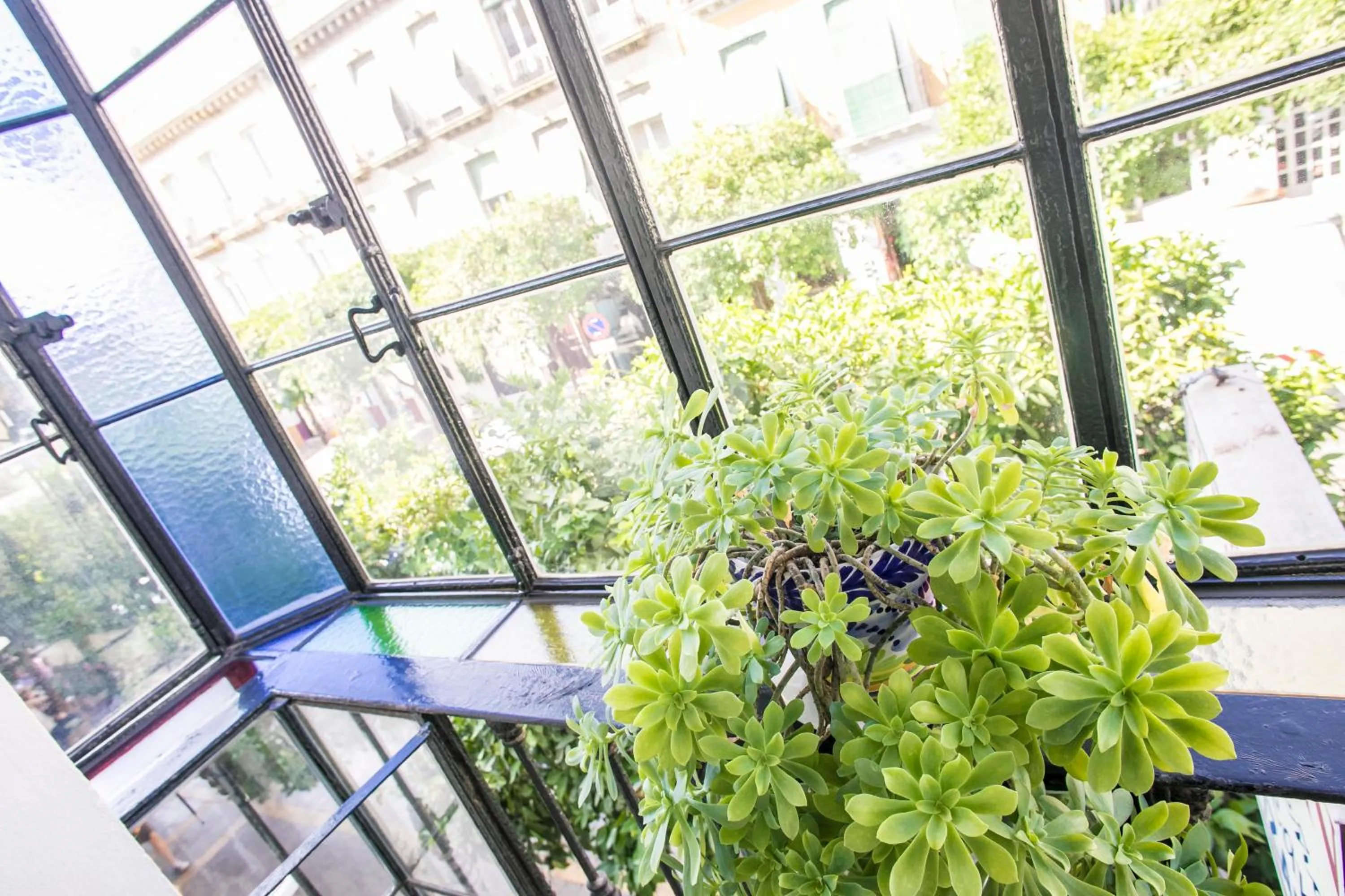 Spring in Pensión Dulces Sueños