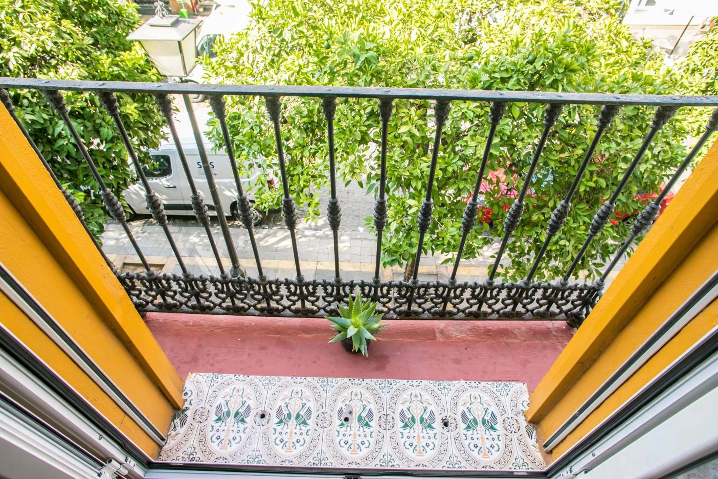 Spring in Pensión Dulces Sueños