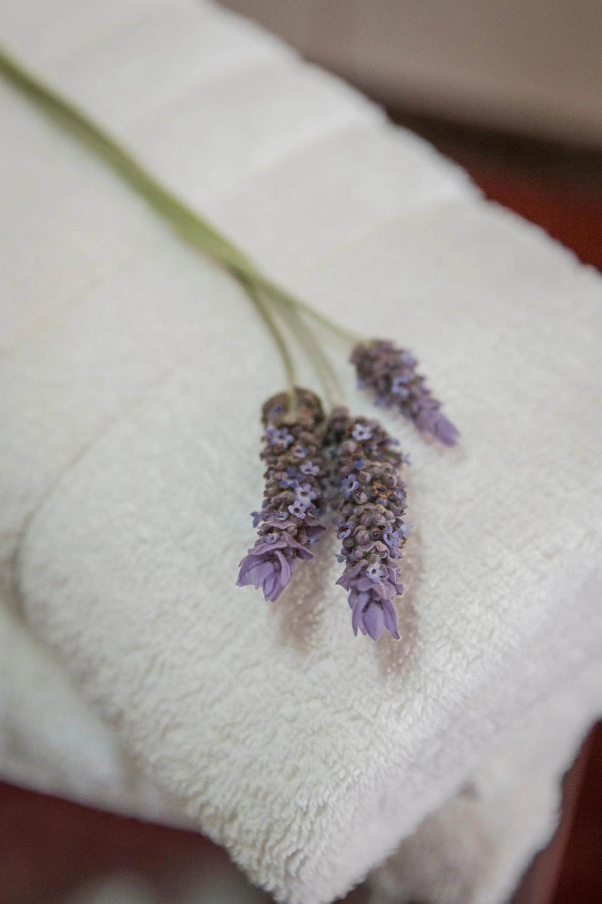 Bed in Kefalonia Bay Palace