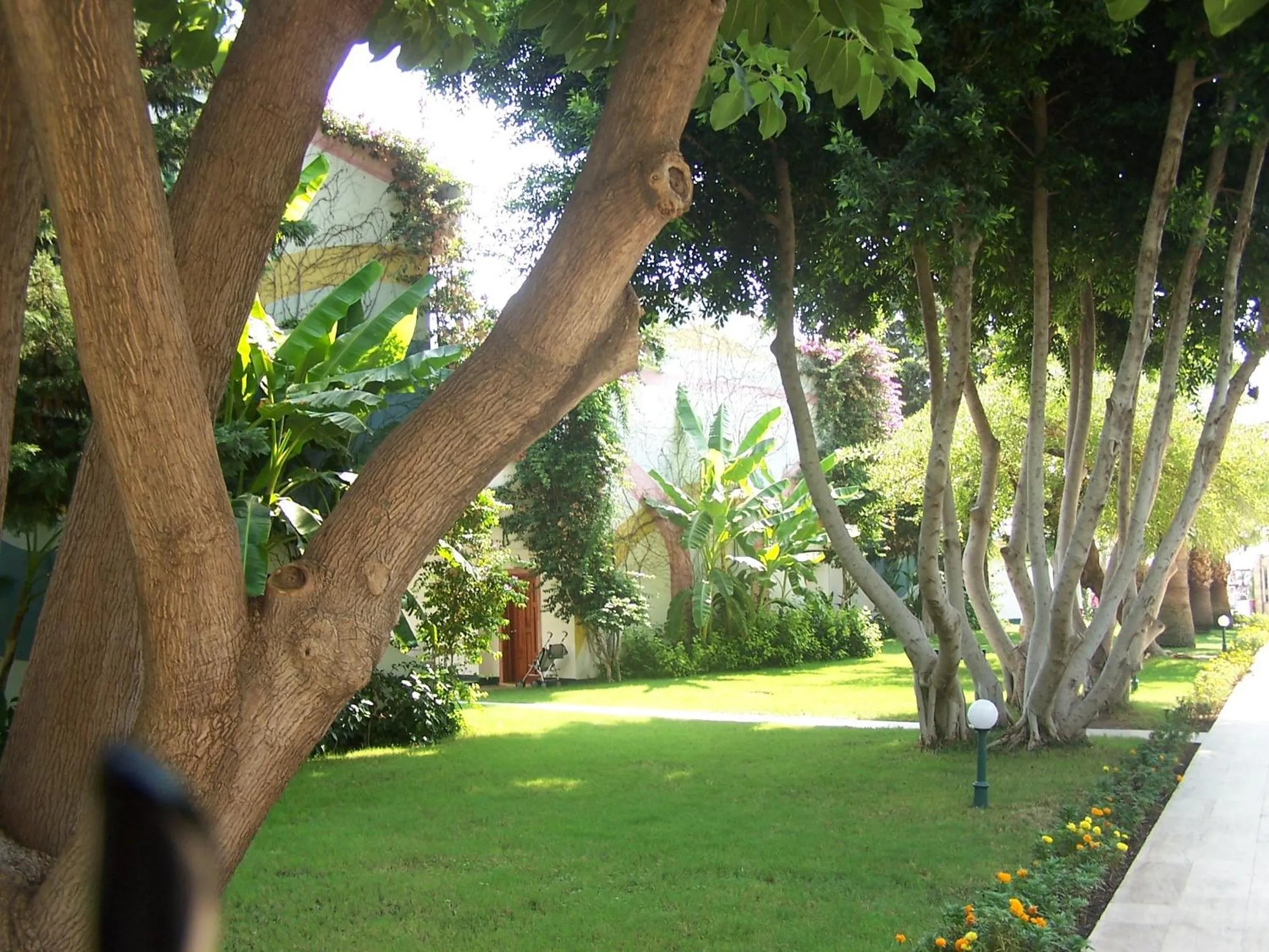 Garden in Club Boran Mare Beach - All Inclusive