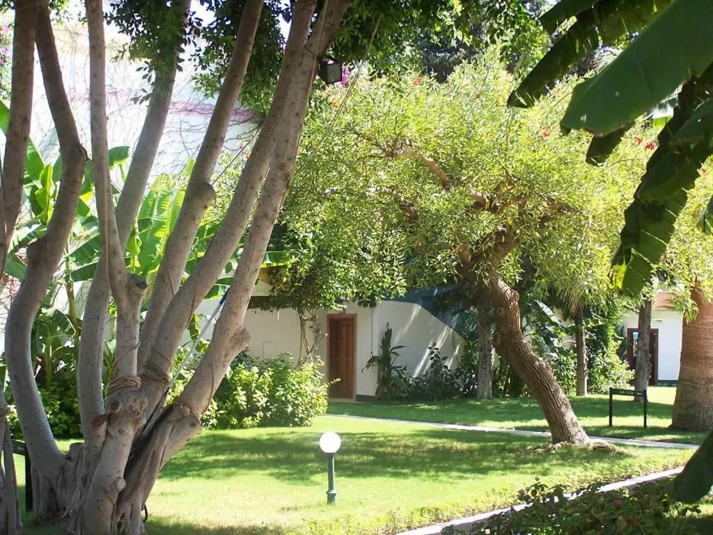 Day in Club Boran Mare Beach - All Inclusive