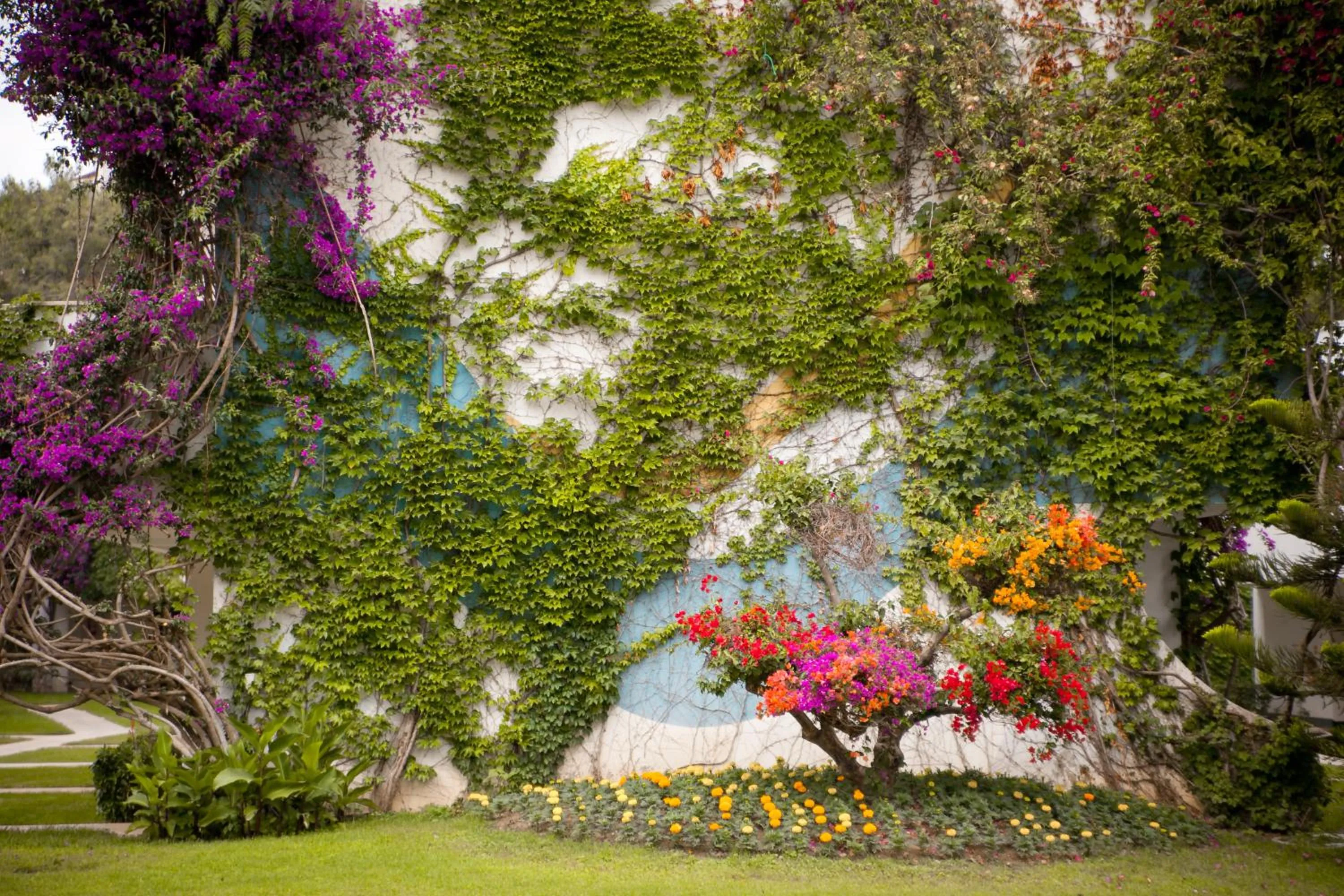 Club Boran Mare Beach - All Inclusive