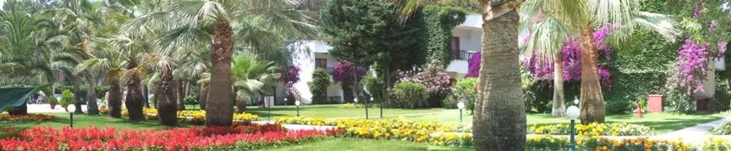 Spring in Club Boran Mare Beach - All Inclusive