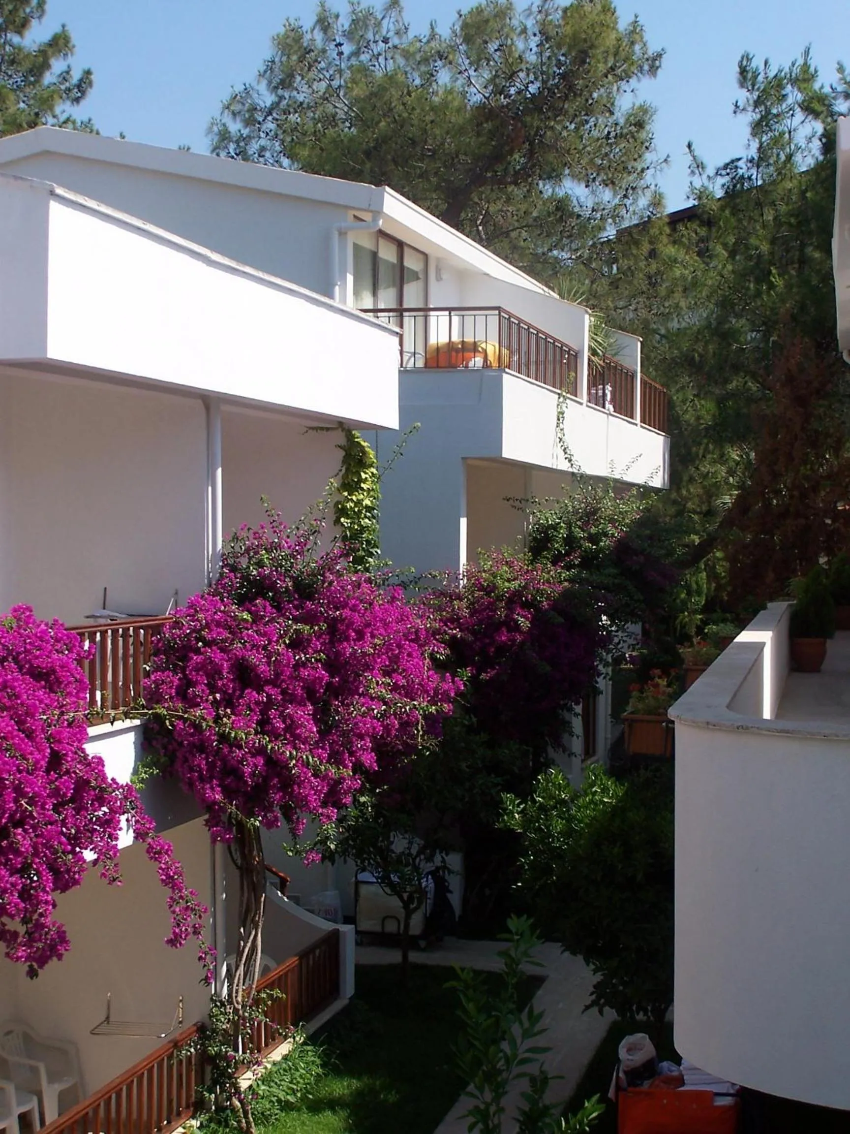 Property building in Club Boran Mare Beach - All Inclusive