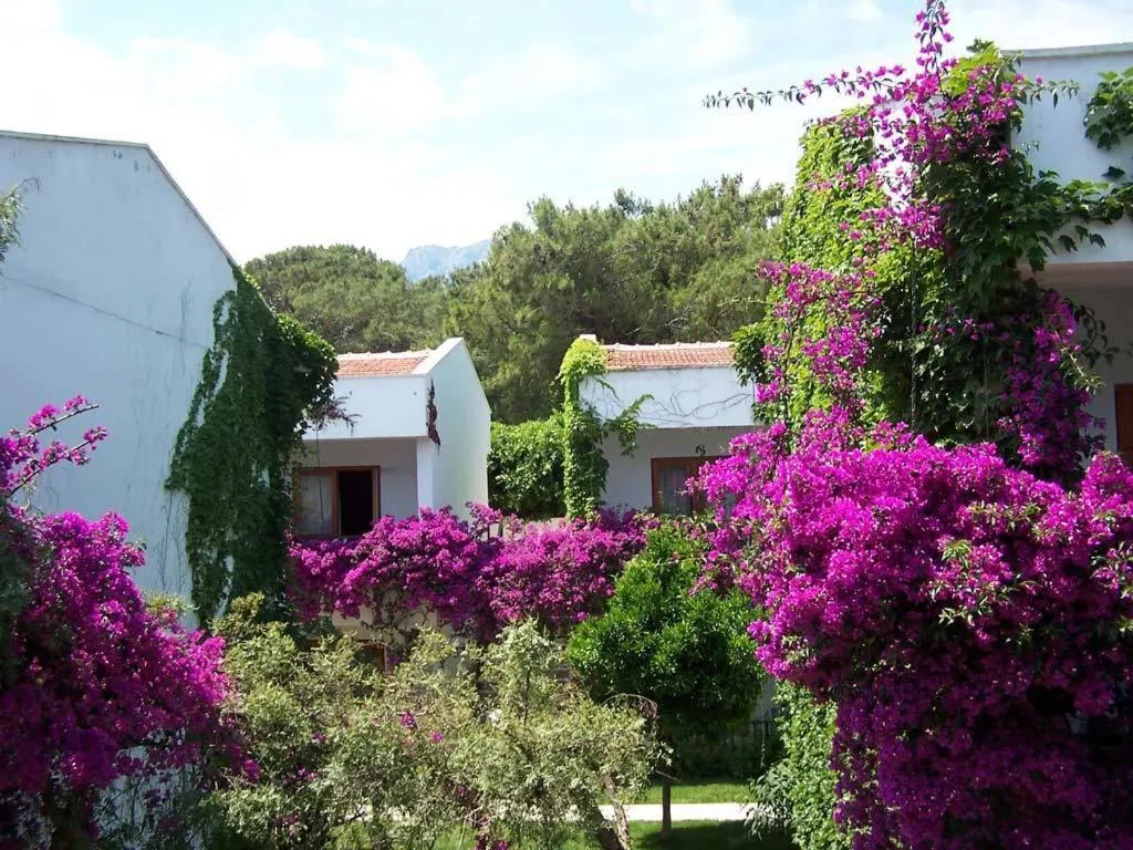 Spring in Club Boran Mare Beach - All Inclusive