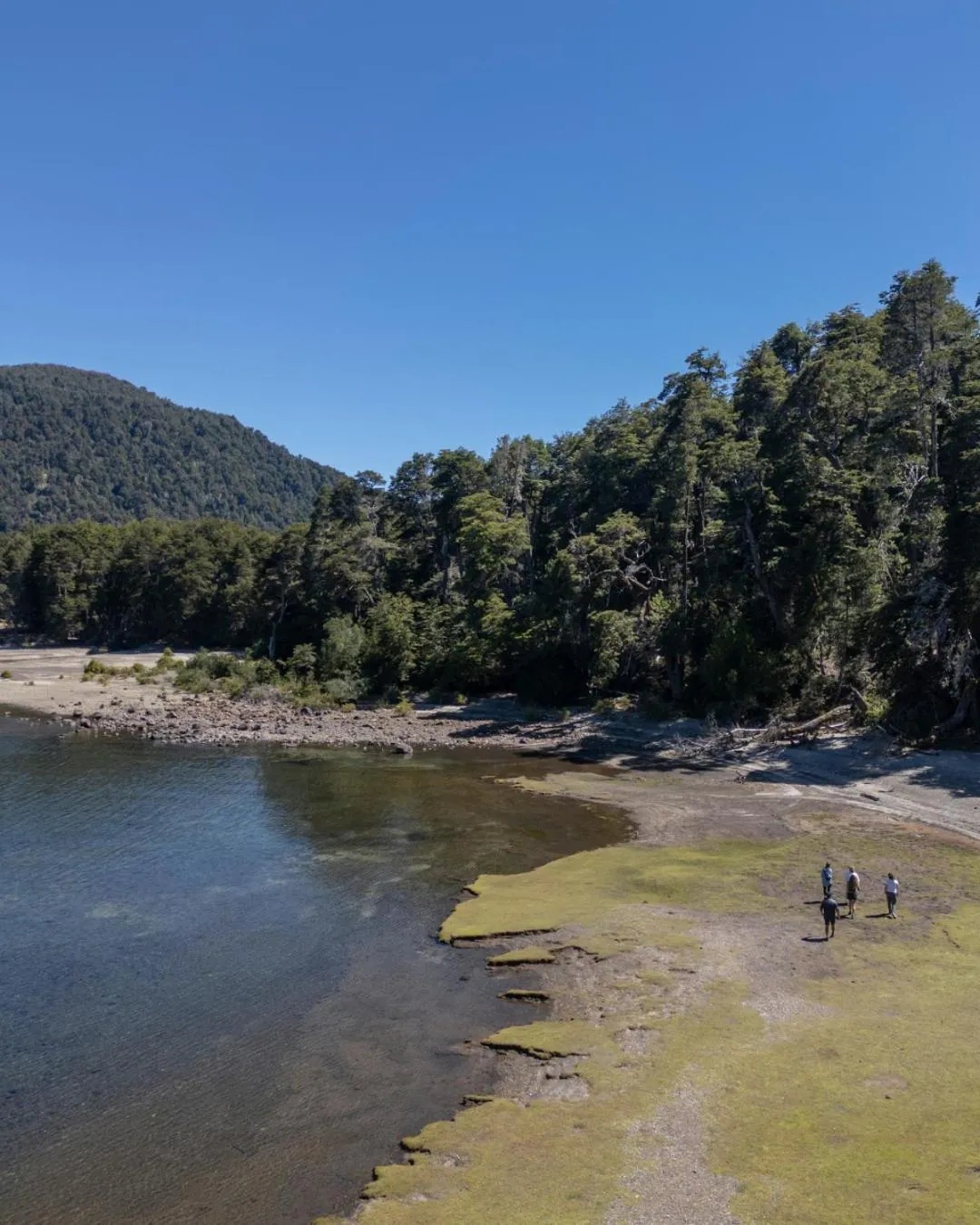 Activities in Correntoso Lake & River Hotel