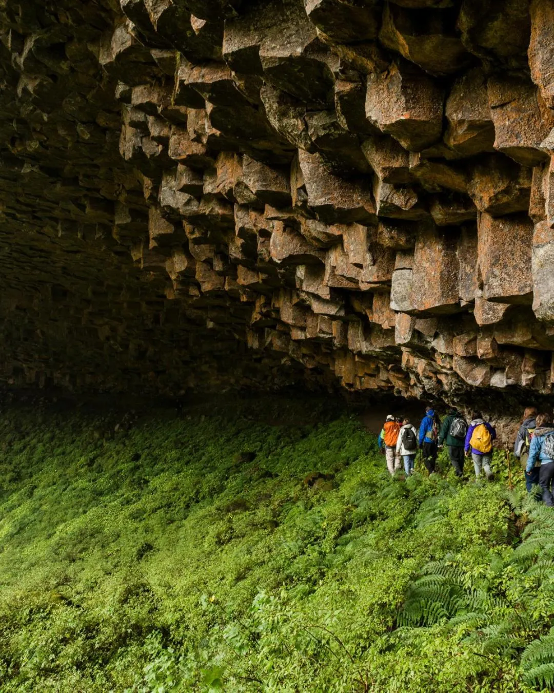 Activities in Correntoso Lake & River Hotel