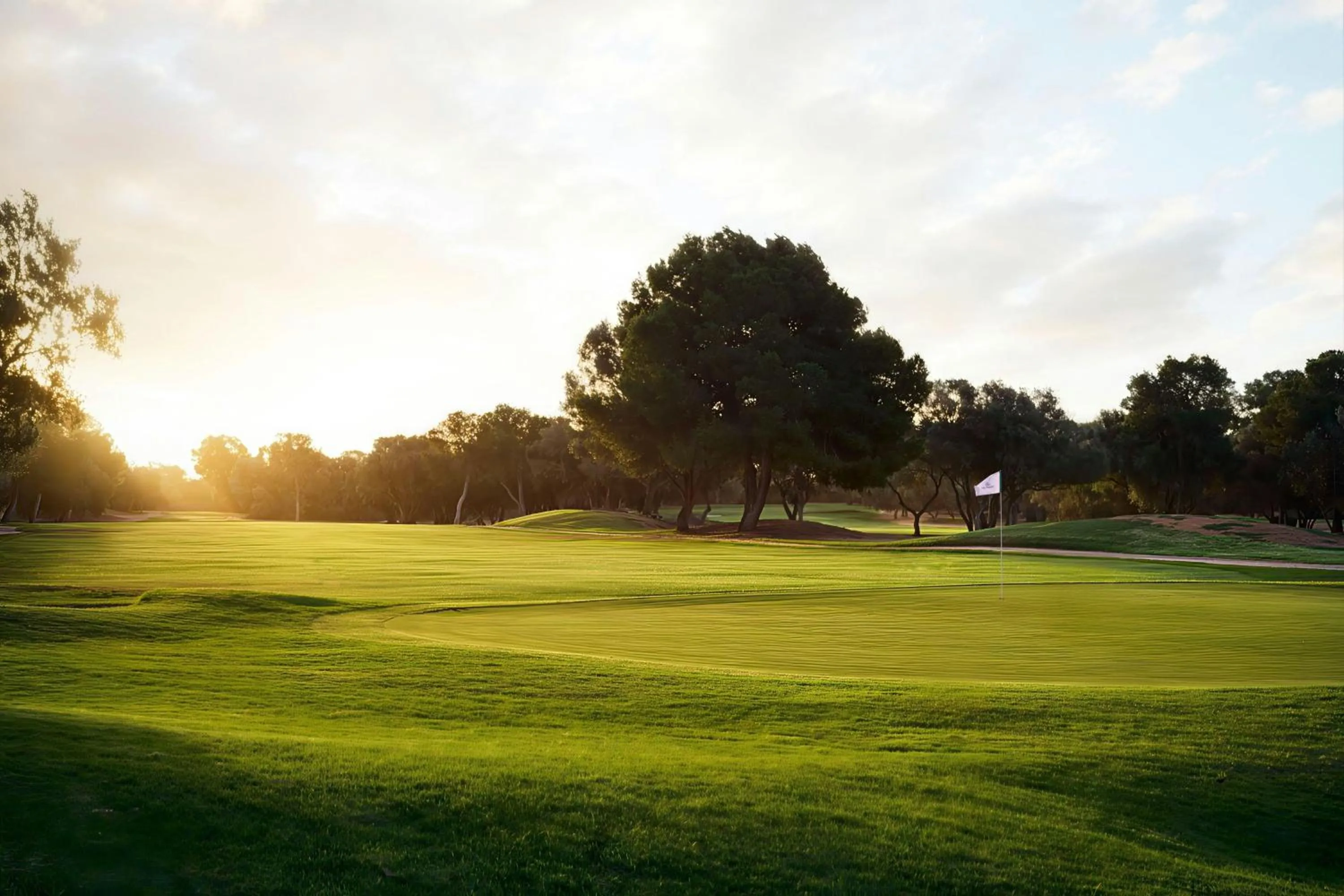 Other in Marriott’s Club Son Antem