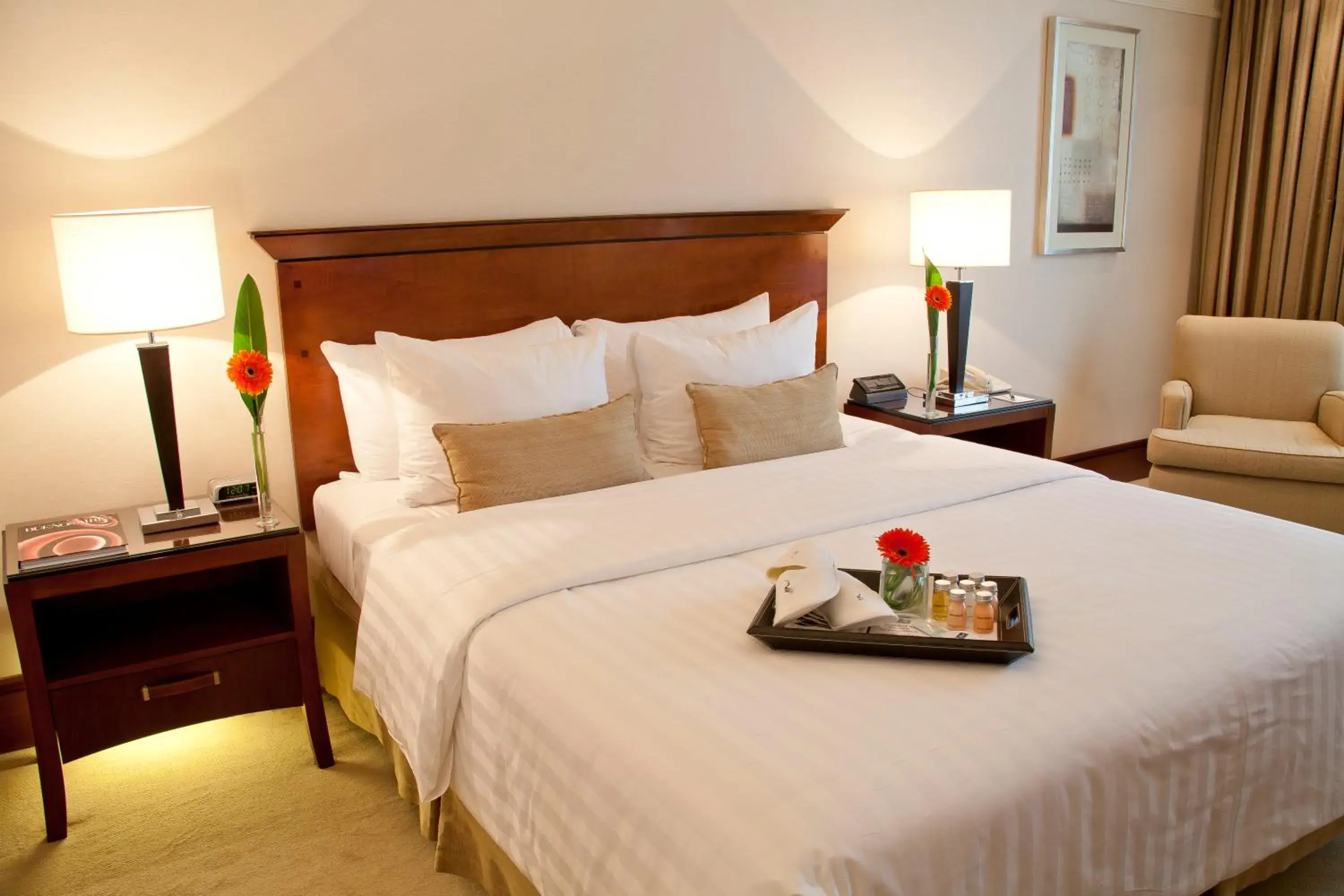 Executive Double Room in Regal Pacific Puerto Madero Executive Double Room in Regal Pacific Puerto Madero