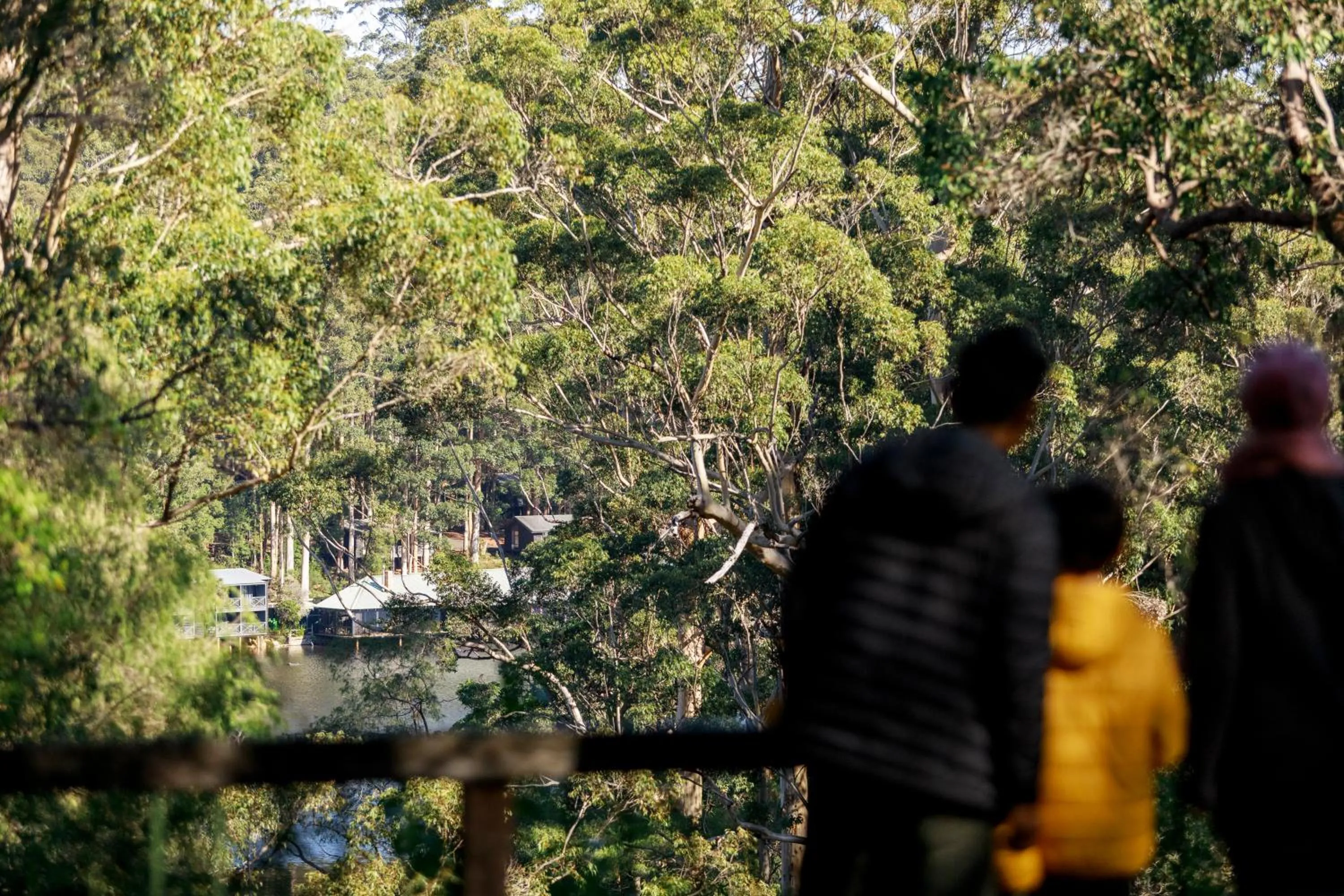 RAC Karri Valley Resort