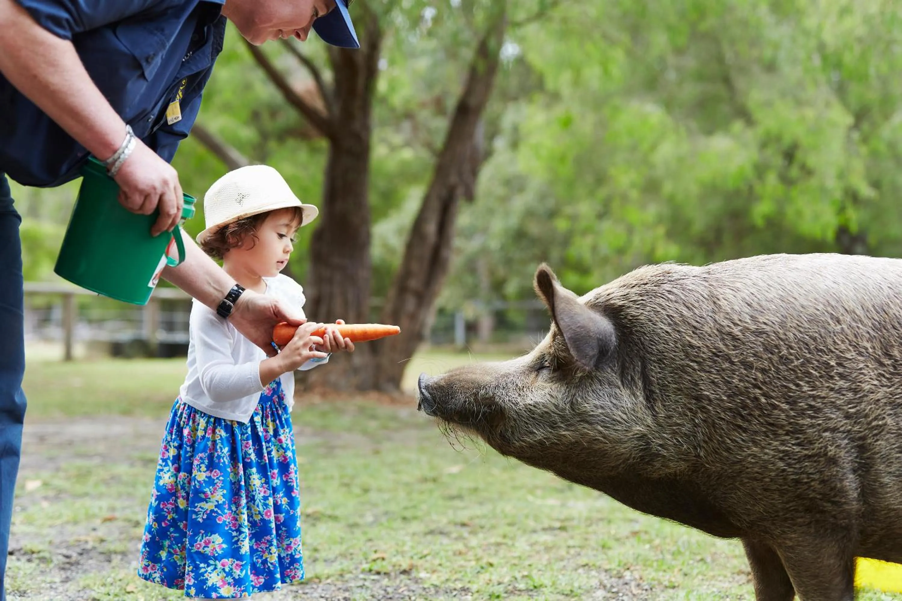 Animals in RAC Karri Valley Resort