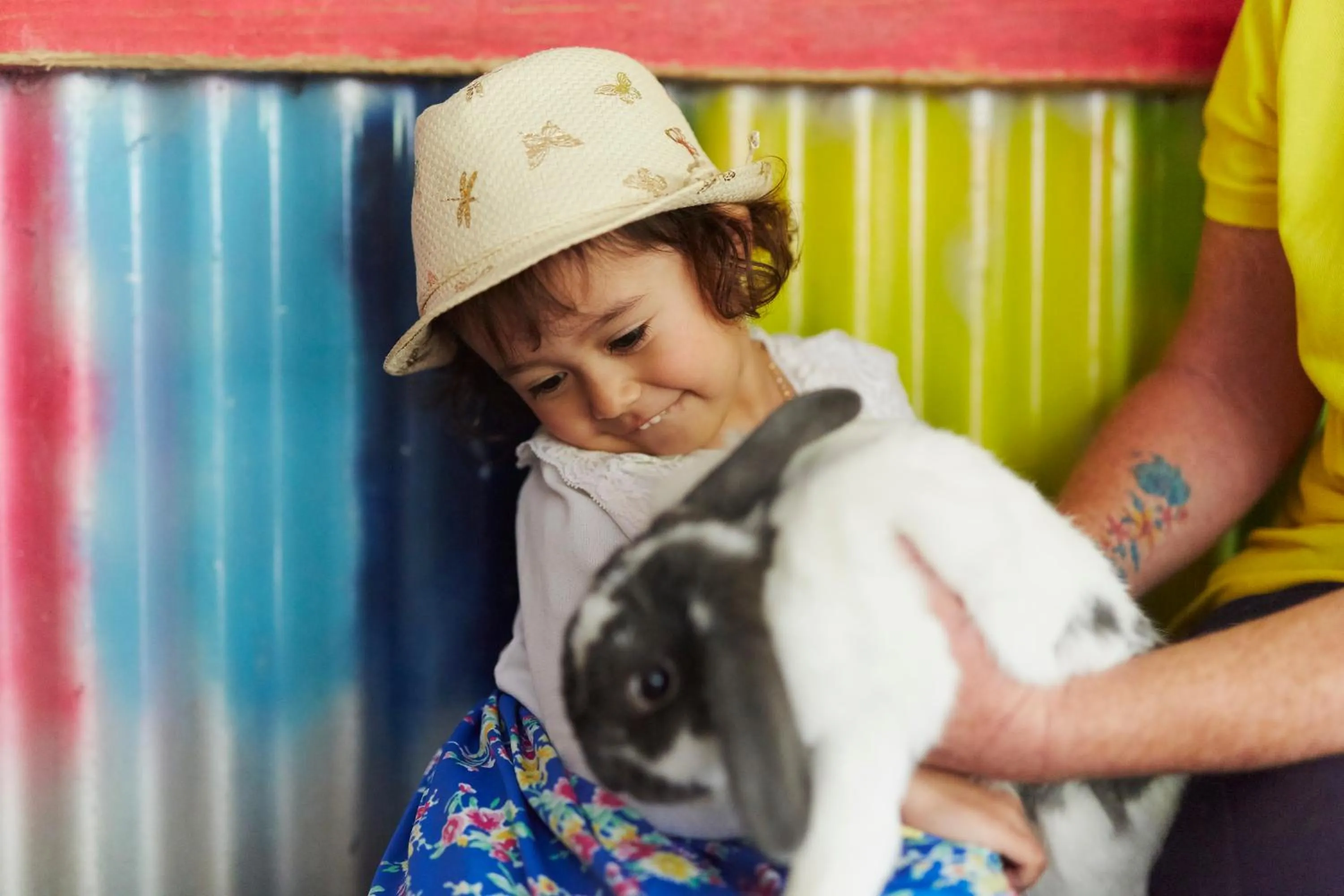 Animals in RAC Karri Valley Resort