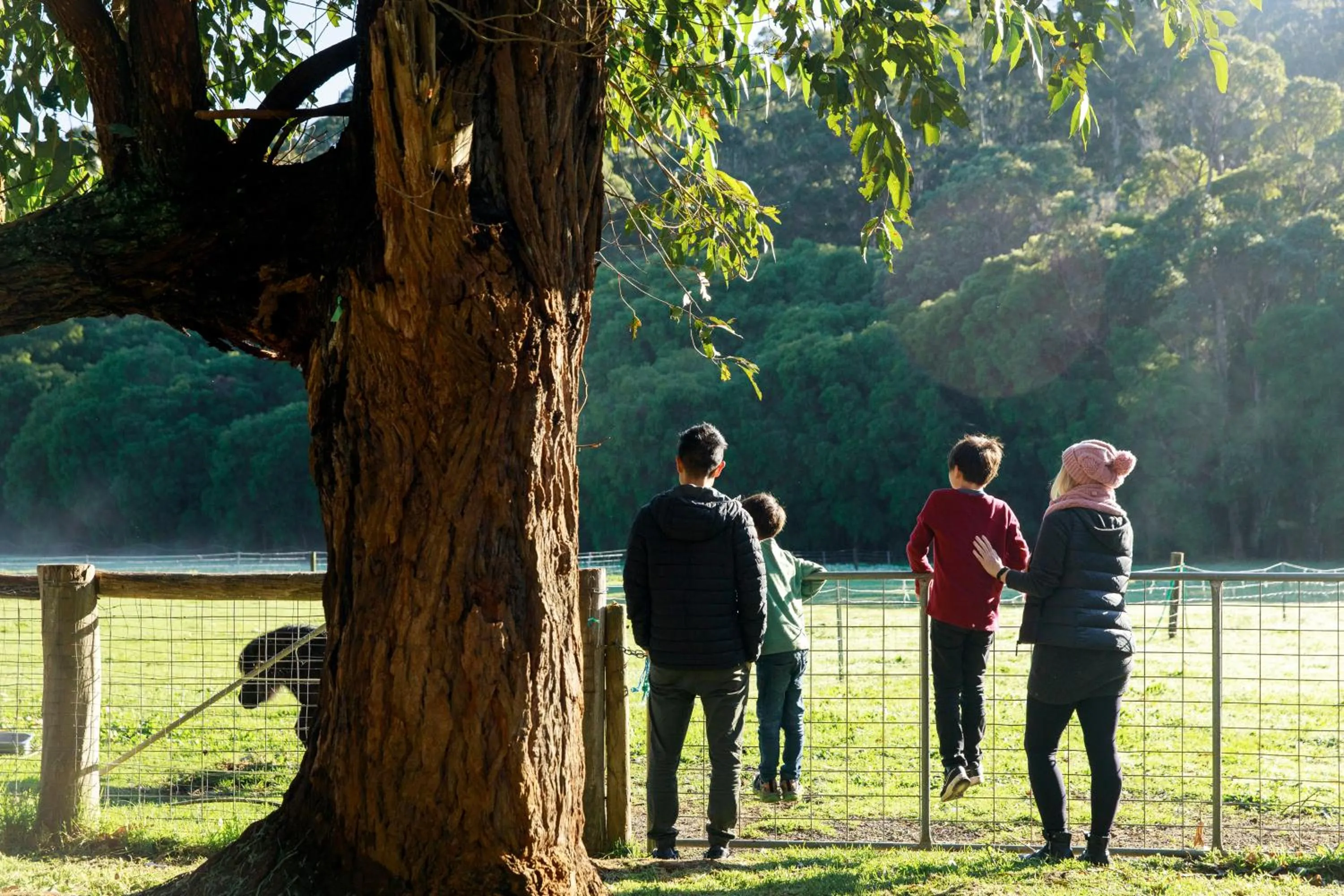 RAC Karri Valley Resort