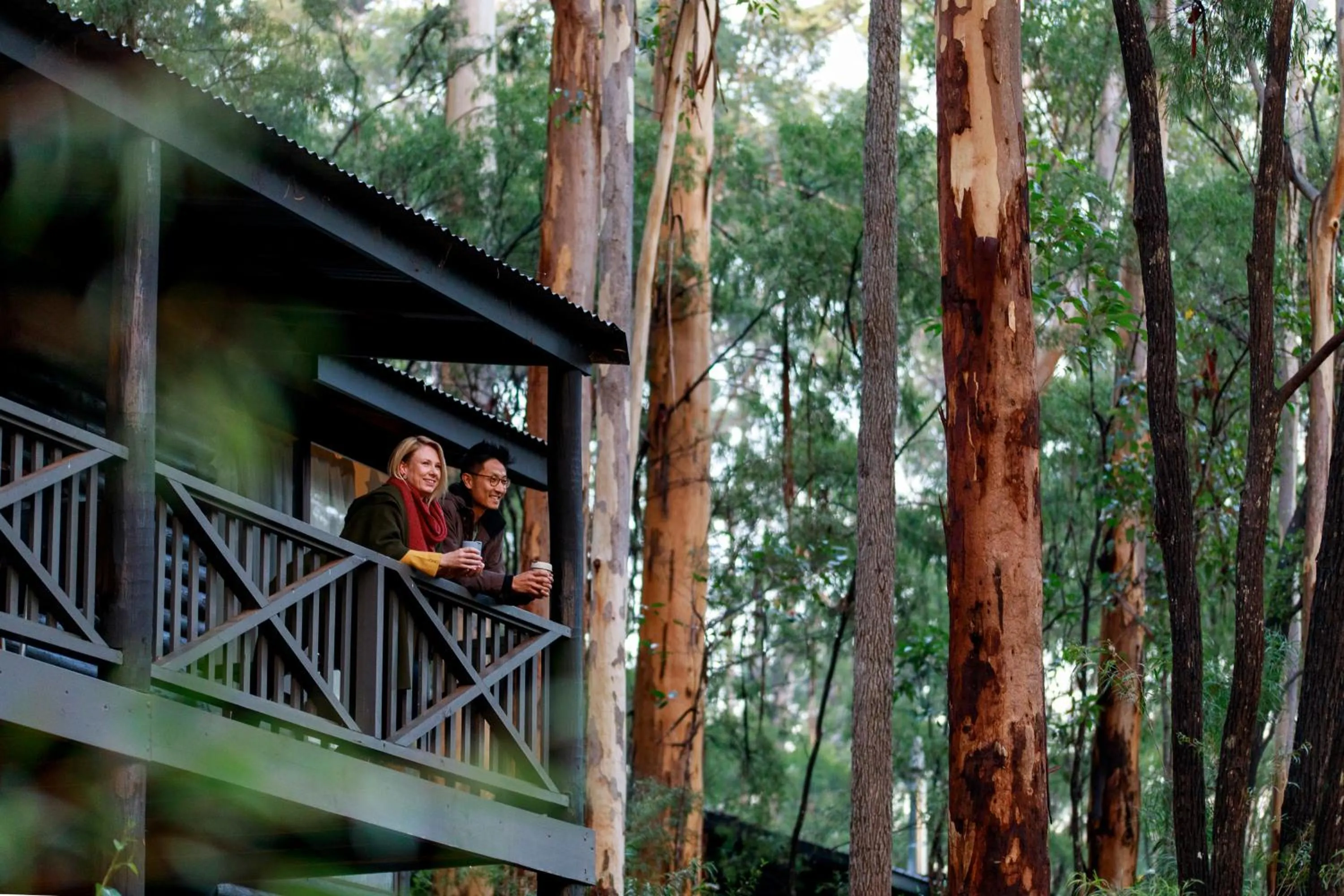 RAC Karri Valley Resort