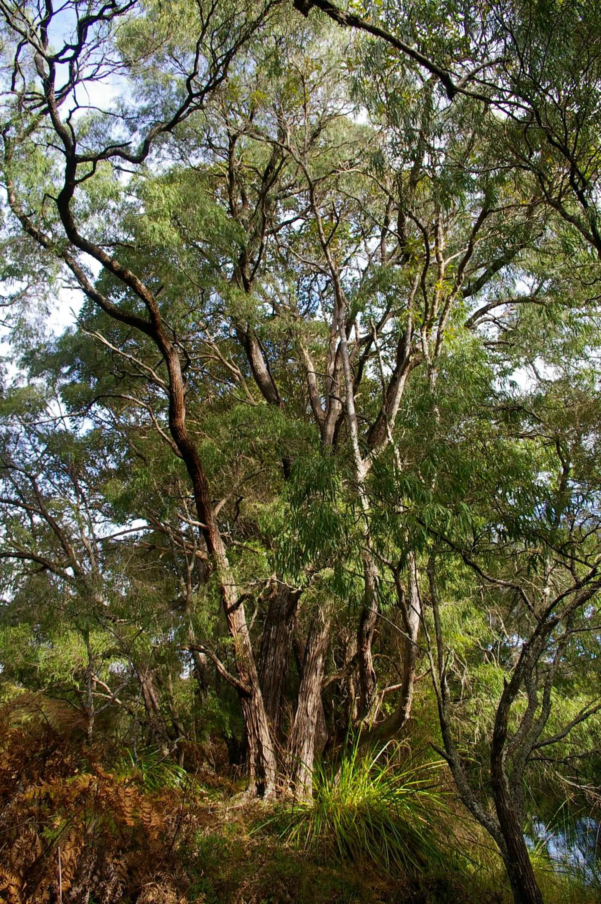Facade/entrance in Margarets In Town Apartments