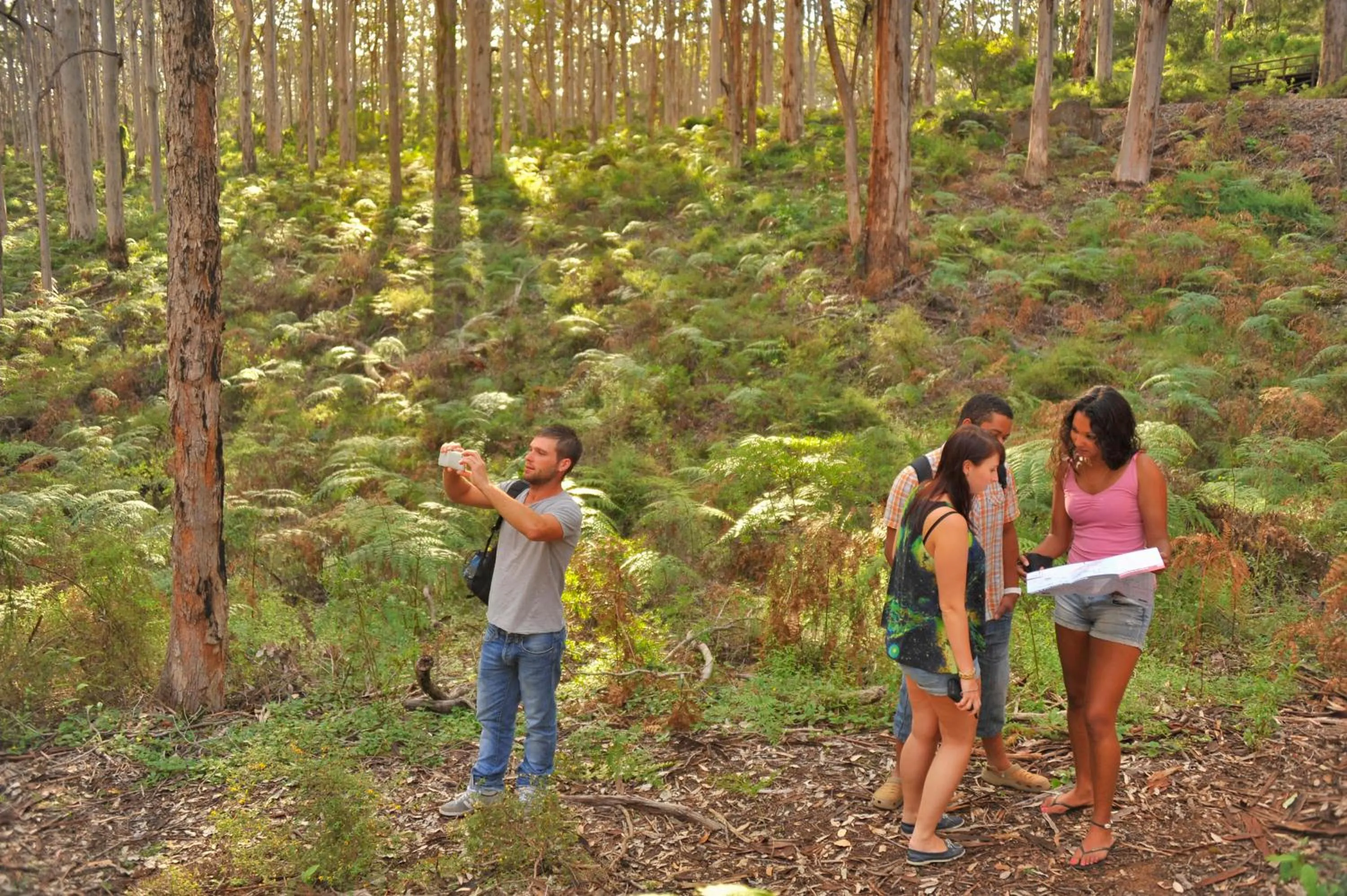 Area and facilities in Margarets In Town Apartments