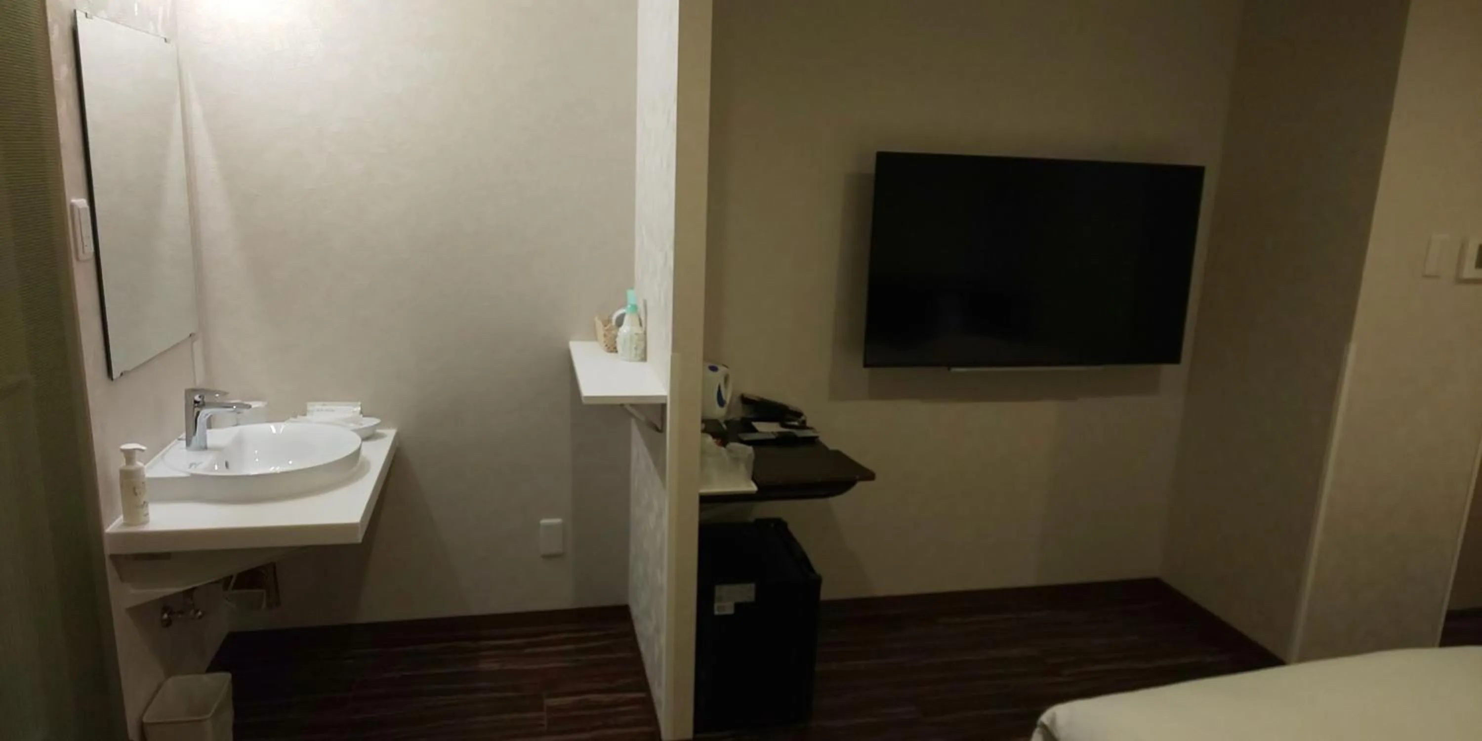 TV and multimedia in Ueno First City Hotel