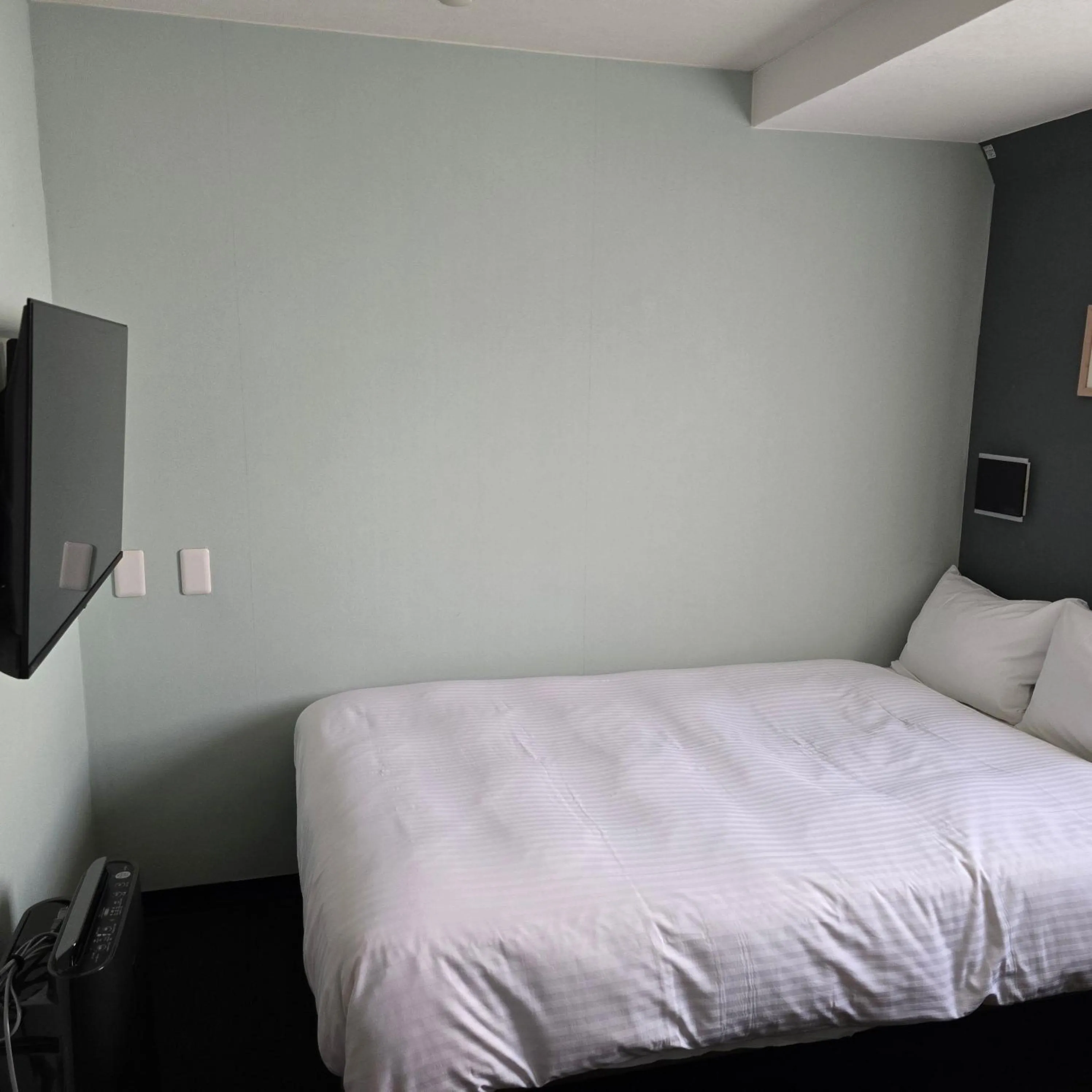 Photo of the whole room, Bed in Ueno First City Hotel