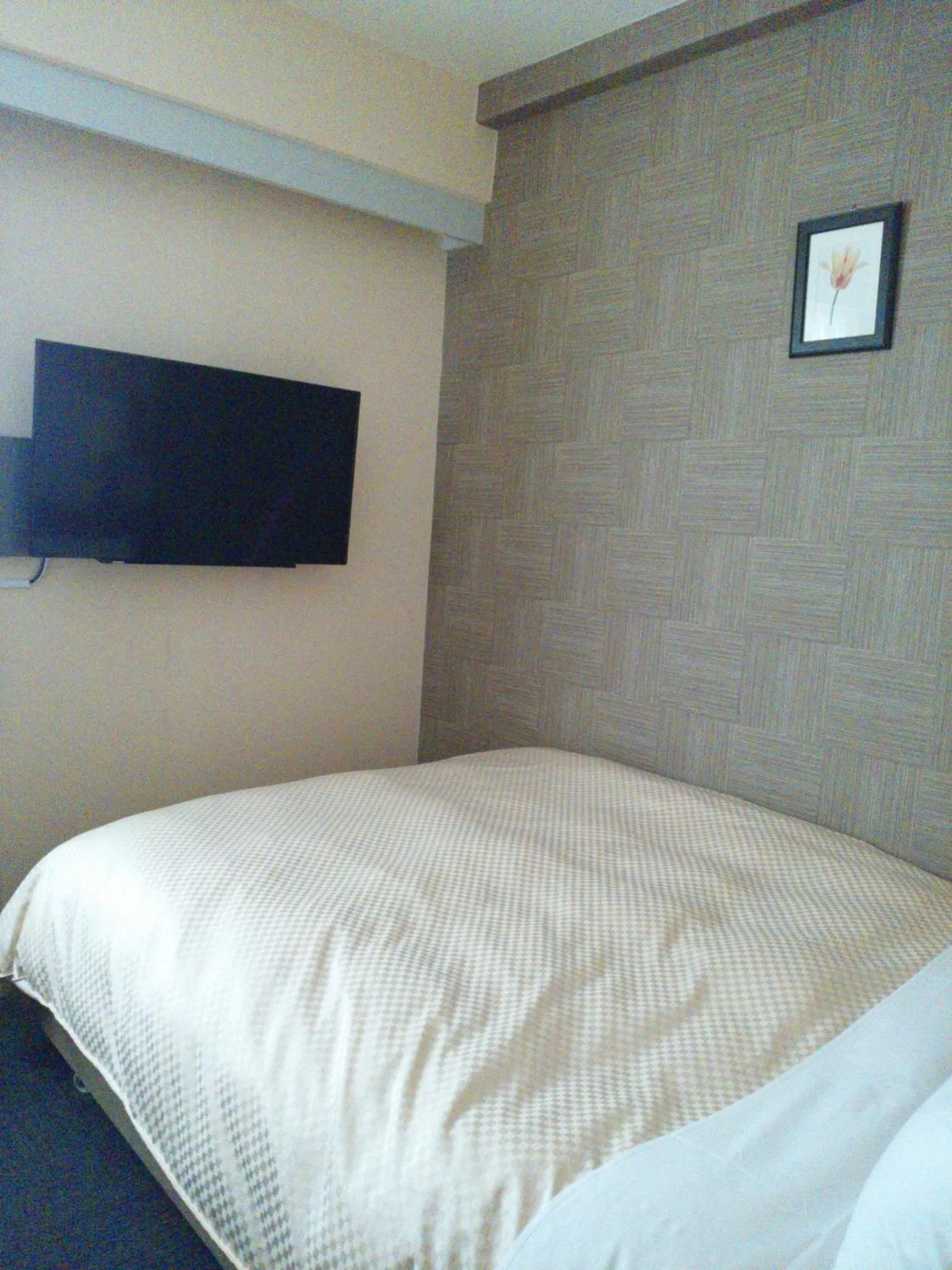TV and multimedia, Bed in Ueno First City Hotel