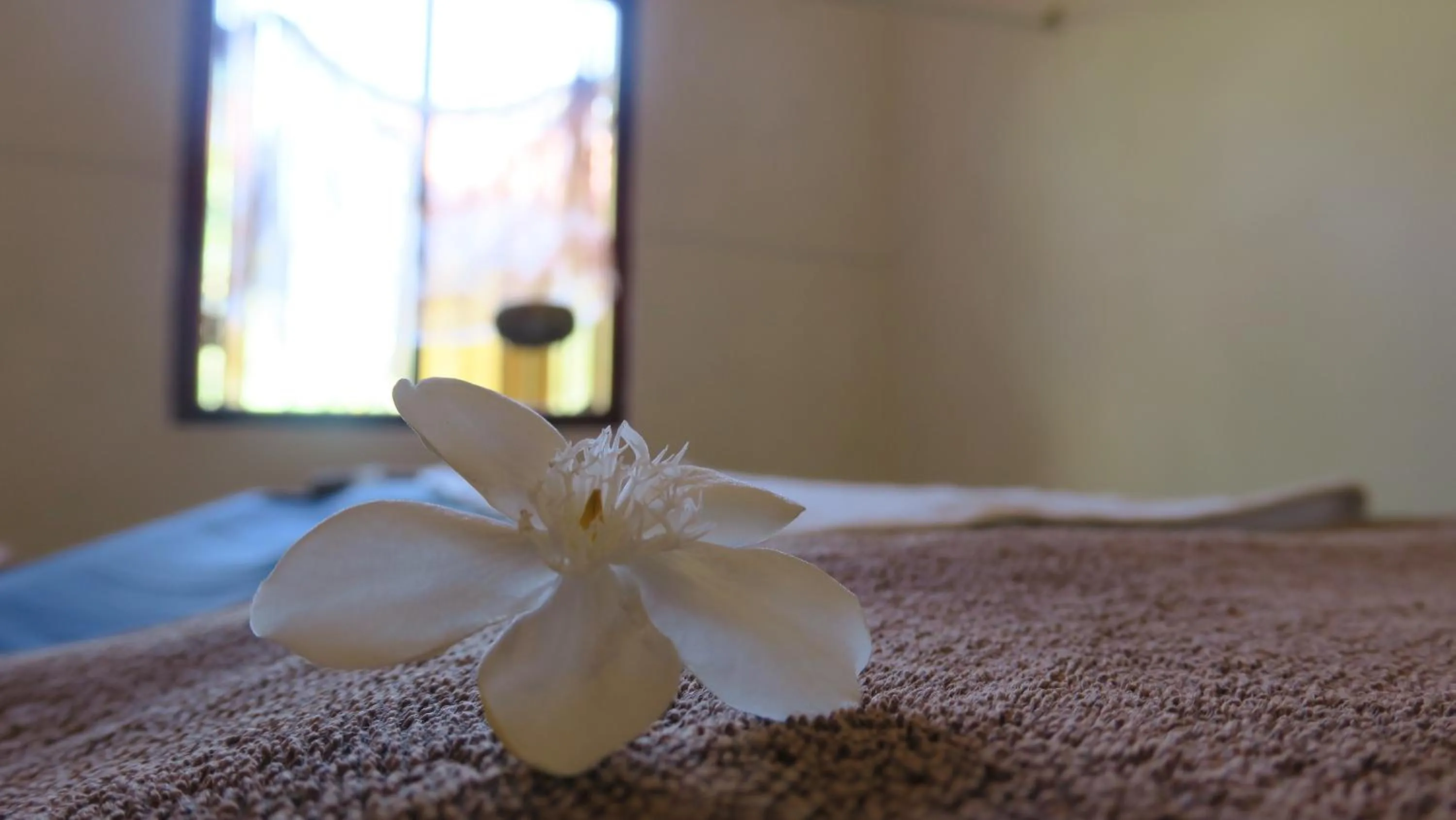 Massage, Bed in De Silva Palm Resort